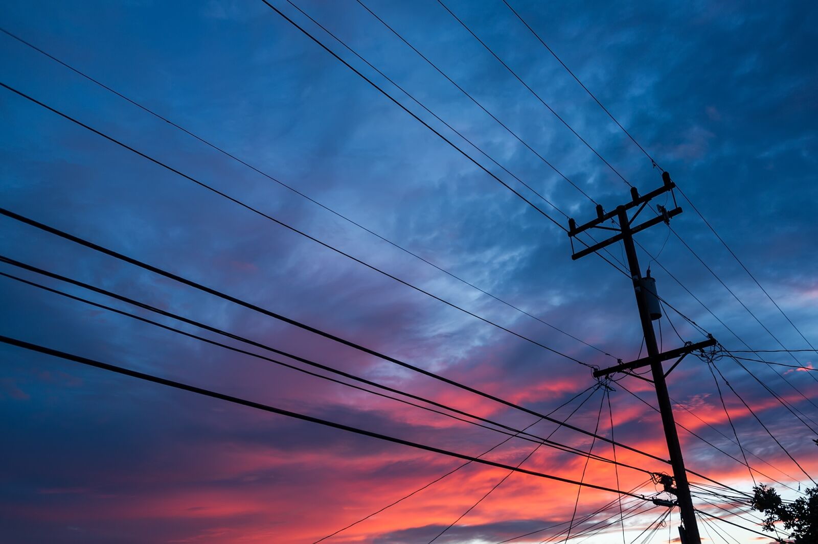 Nikon D3S sample photo. Electricity, wire, voltage photography