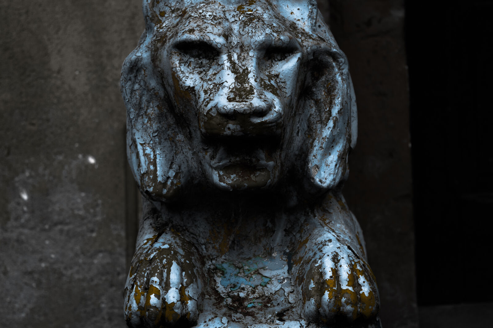 Nikon D3300 sample photo. Broken, lion, old, ruined photography