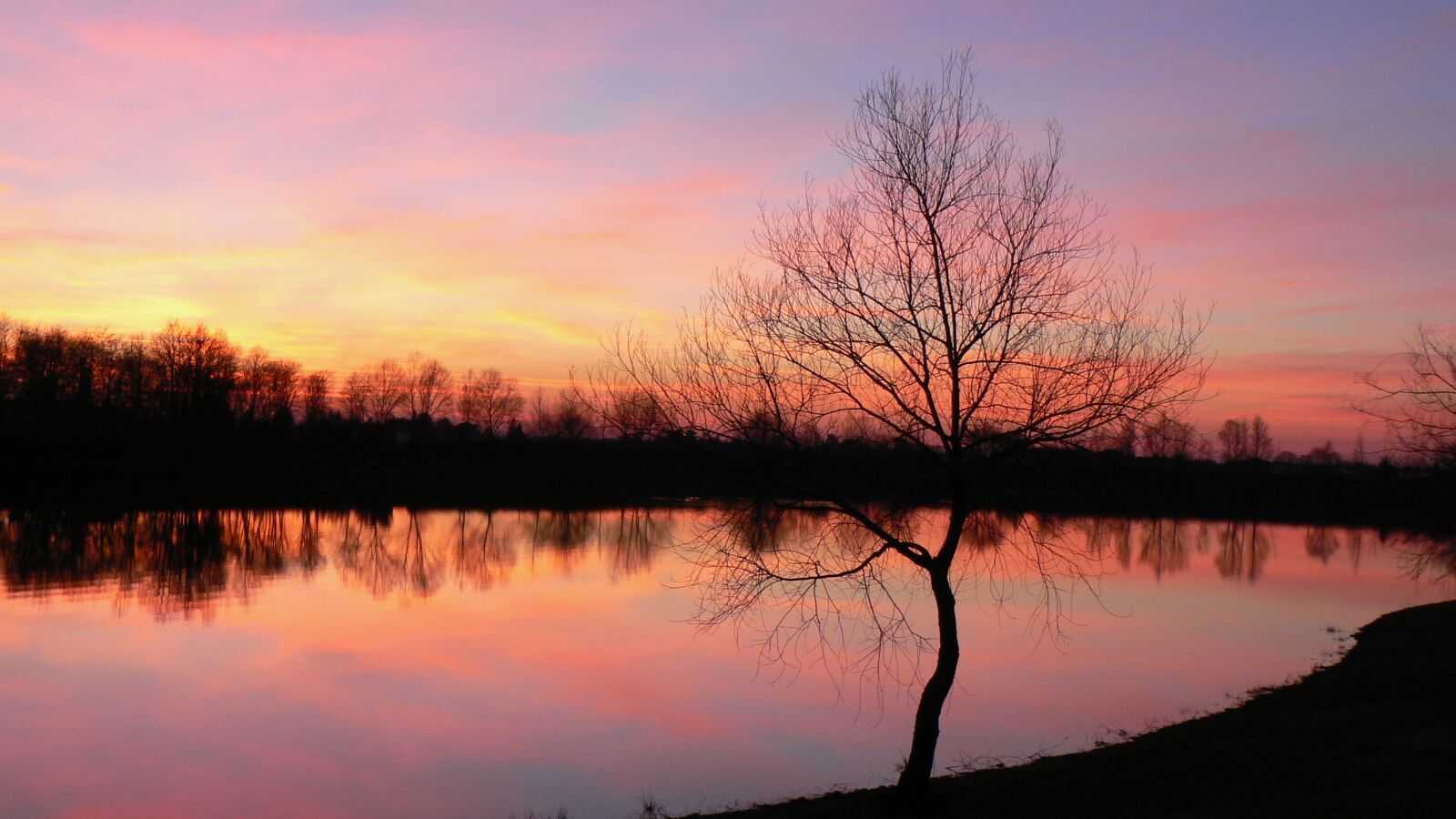 Panasonic DMC-FZ7 sample photo. Sunset, lake, tree photography