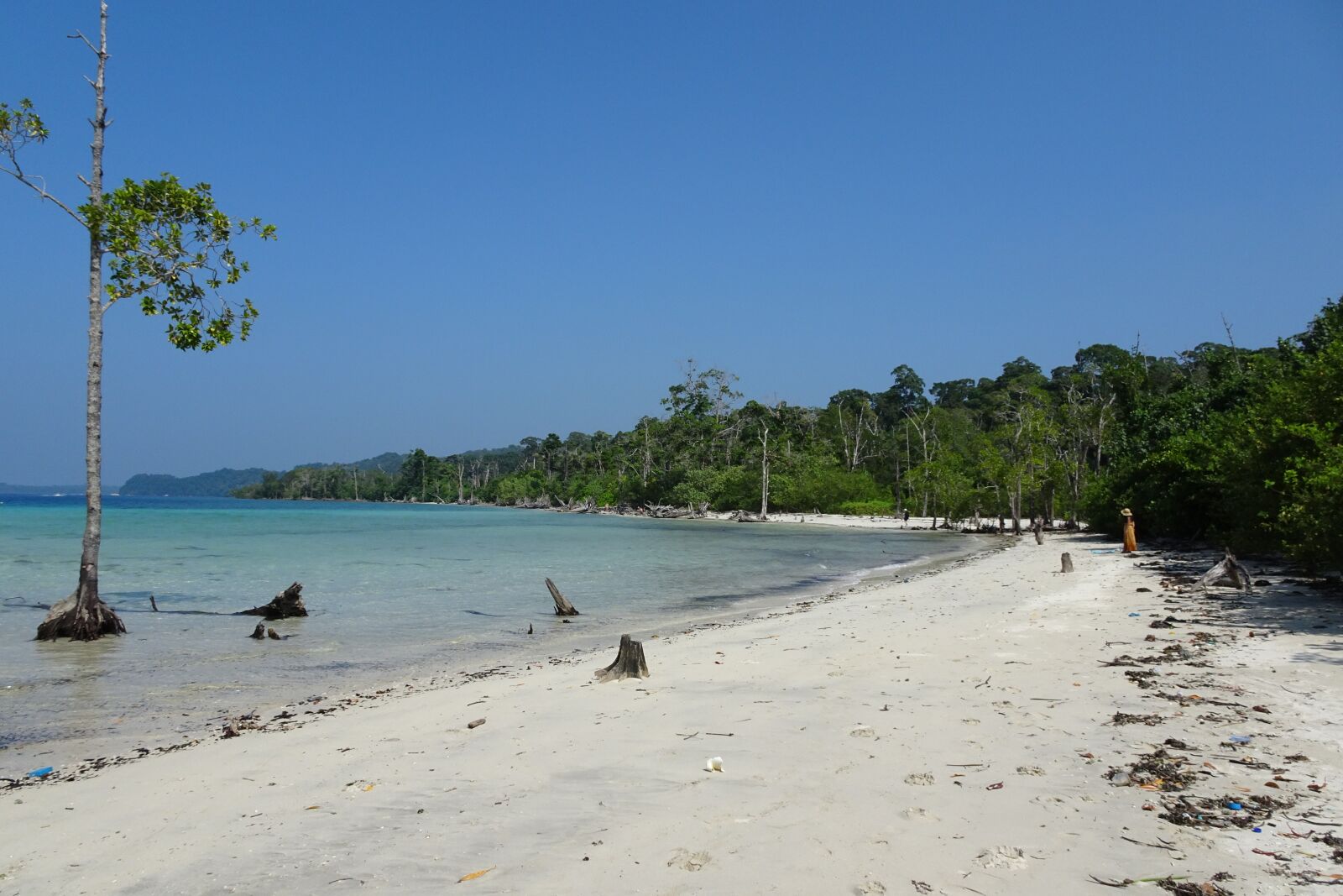 Sony Cyber-shot DSC-HX90V sample photo. Beach, sea, elephant beach photography