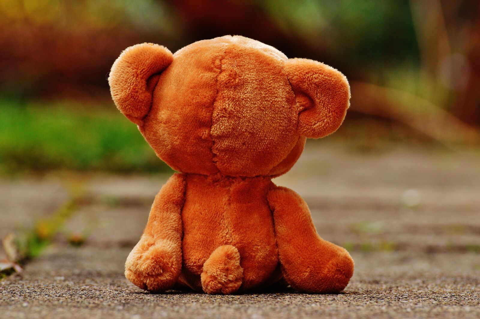 Nikon D3200 sample photo. Bear, teddy, lonely photography