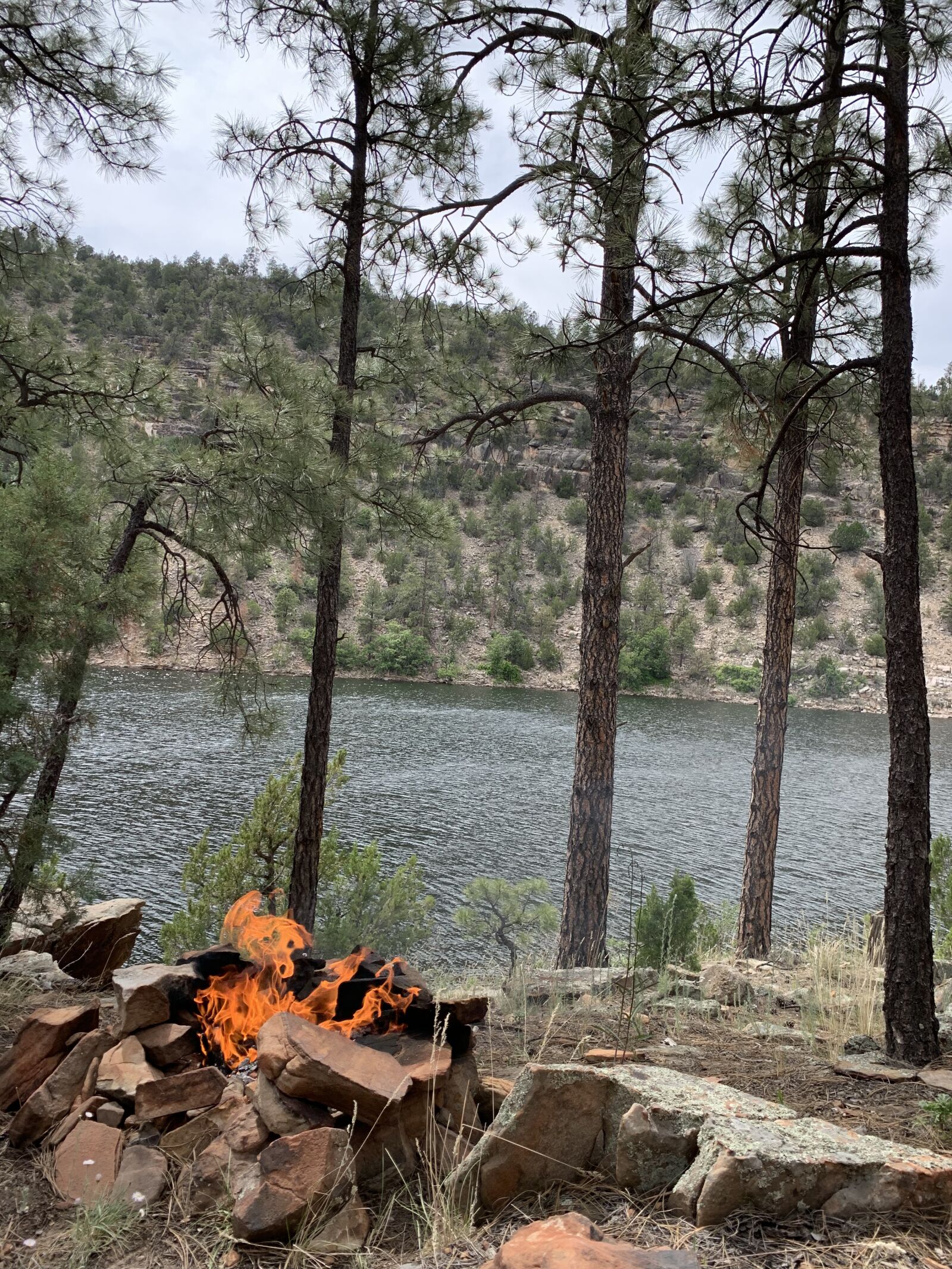 Apple iPhone XS Max sample photo. Lake, campfire, forest photography
