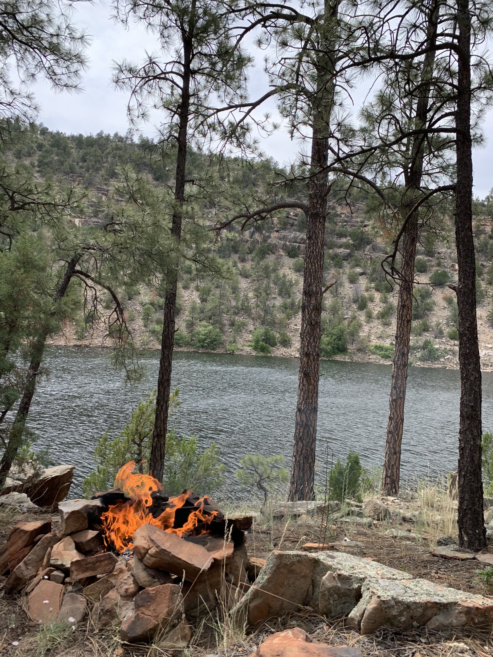 iPhone XS Max back dual camera 4.25mm f/1.8 sample photo. Lake, campfire, forest photography
