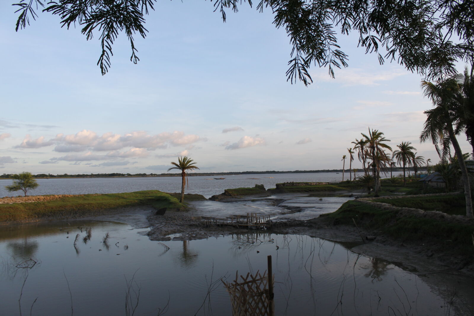 Canon EOS 500D (EOS Rebel T1i / EOS Kiss X3) sample photo. Bangladesh, canal, fisherman, flower photography