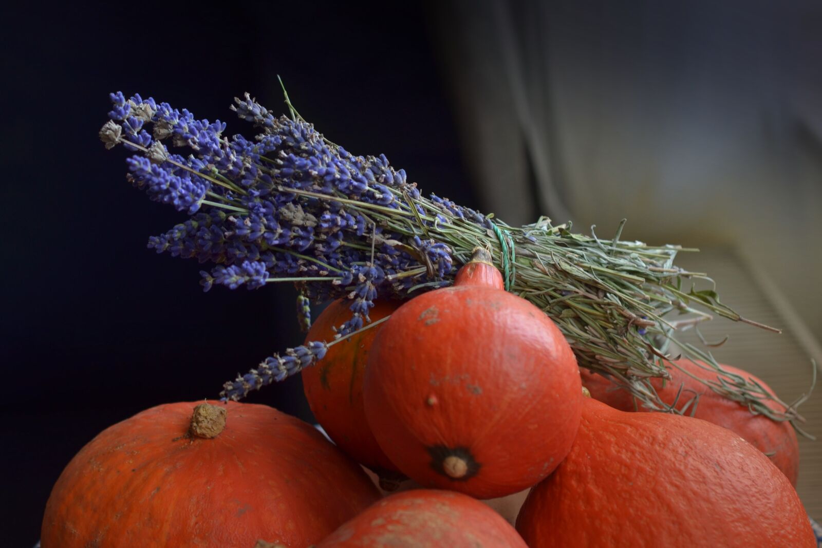 Nikon D7000 sample photo. Lavender, fragrance, pumpkin photography