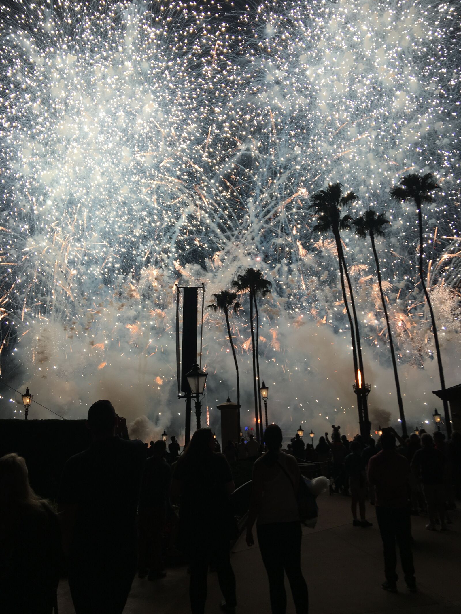 iPhone 6s Plus back camera 4.15mm f/2.2 sample photo. Fireworks, night, celebrate photography
