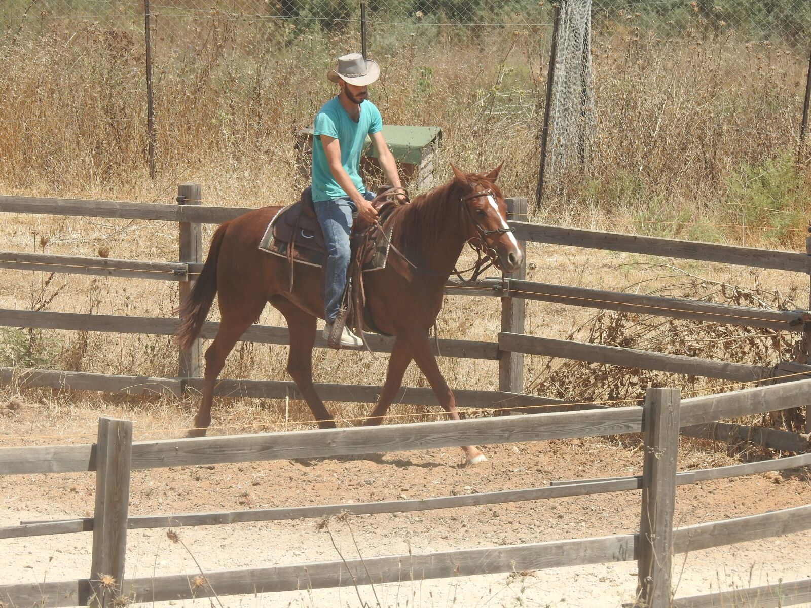 Nikon Coolpix P900 sample photo. Horse, rider, cowboy photography