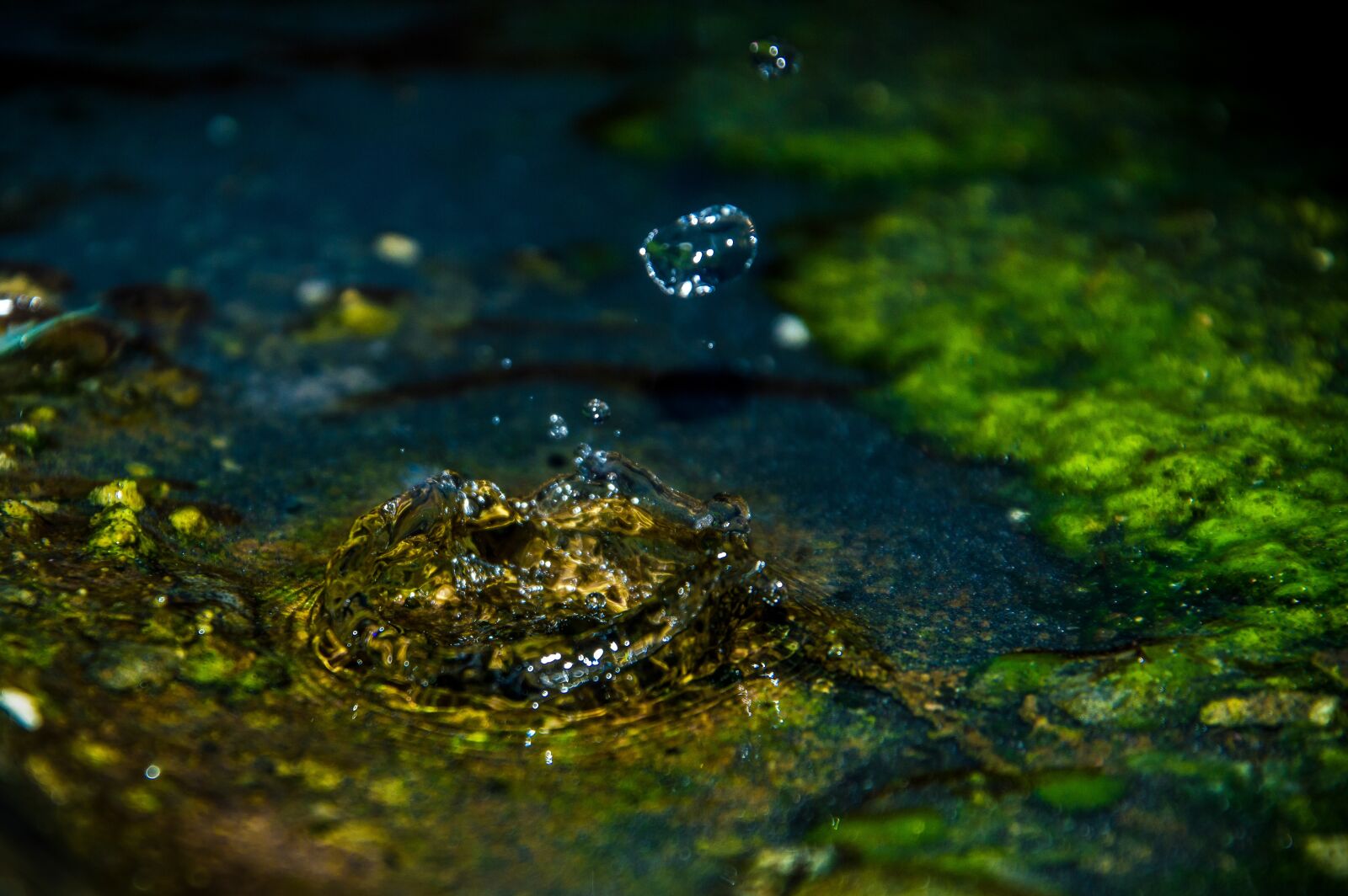 Nikon D3200 sample photo. Nature, water, outdoors photography