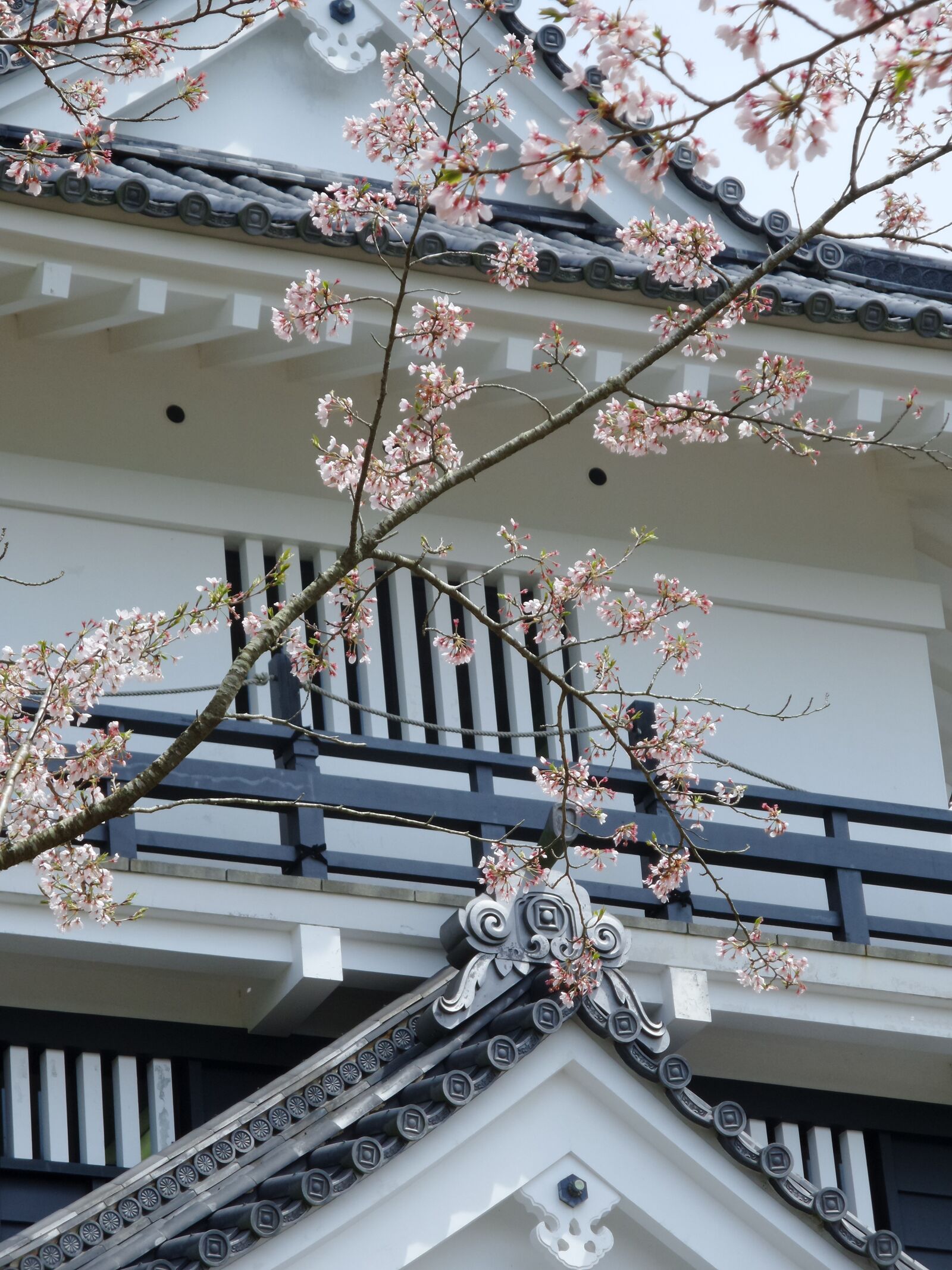 Samsung Galaxy K Zoom sample photo. Japan, temple, white photography