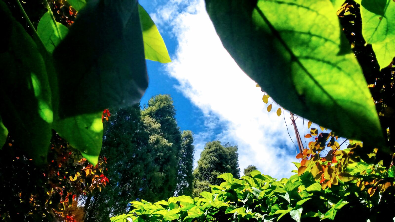 Motorola MotoG3 sample photo. Nature, sky, heaven photography