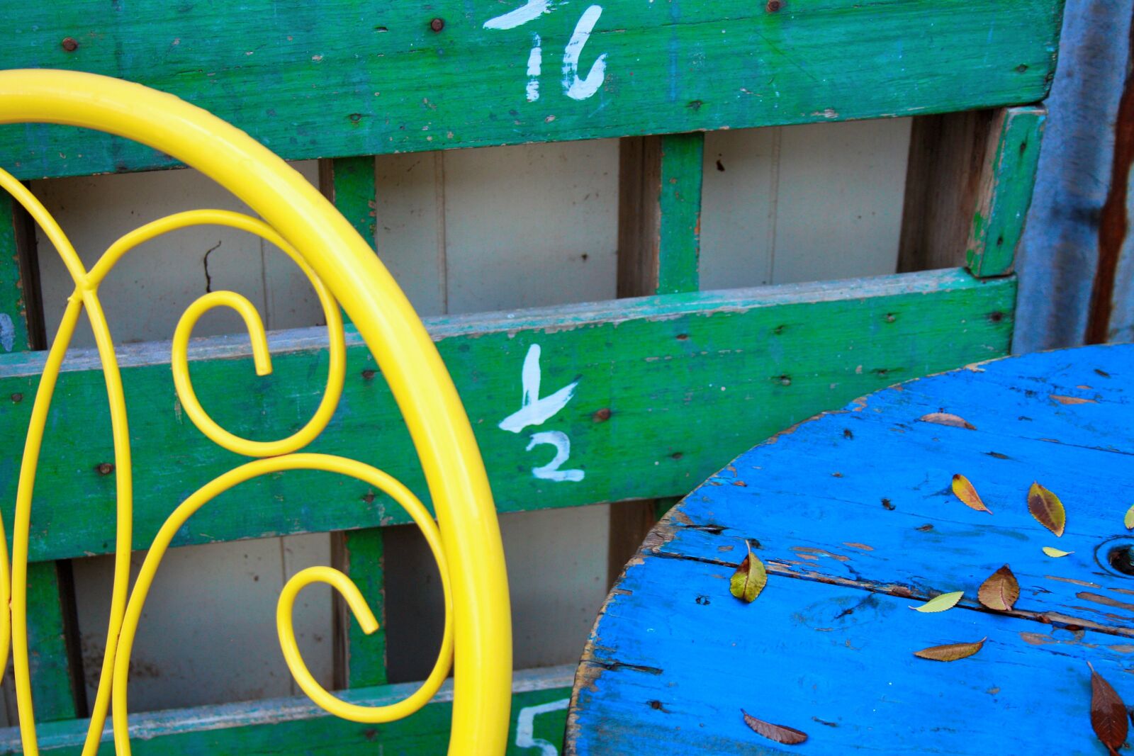 Canon EOS 1000D (EOS Digital Rebel XS / EOS Kiss F) sample photo. Blue, yellow, green photography