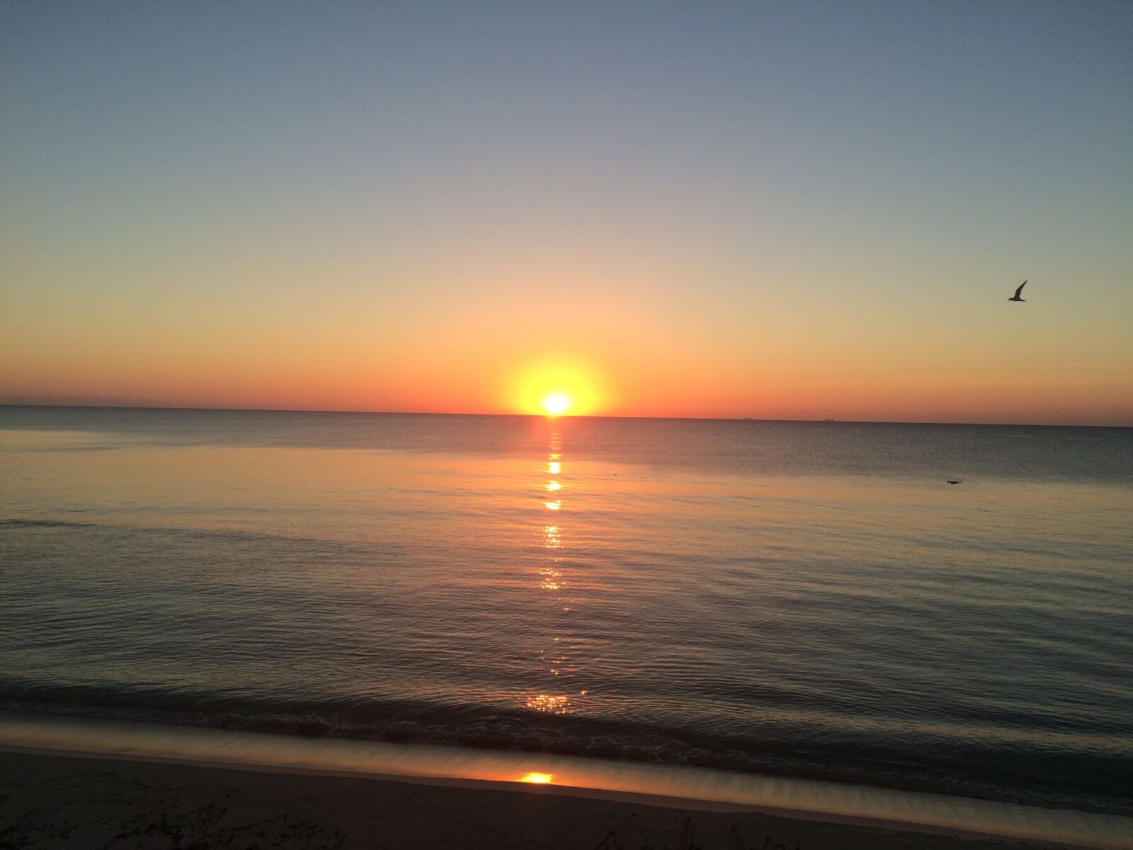 iPhone 5s back camera 4.15mm f/2.2 sample photo. Sunrise, caribbean, tropical photography