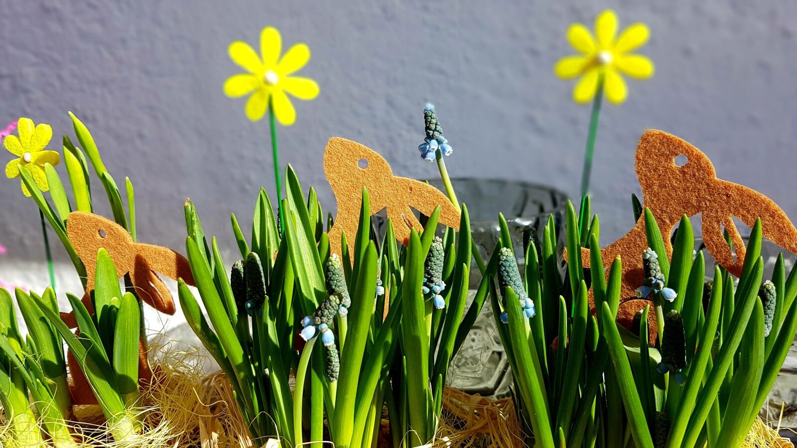 Samsung Galaxy S7 Edge sample photo. Easter, spring, easter bunny photography