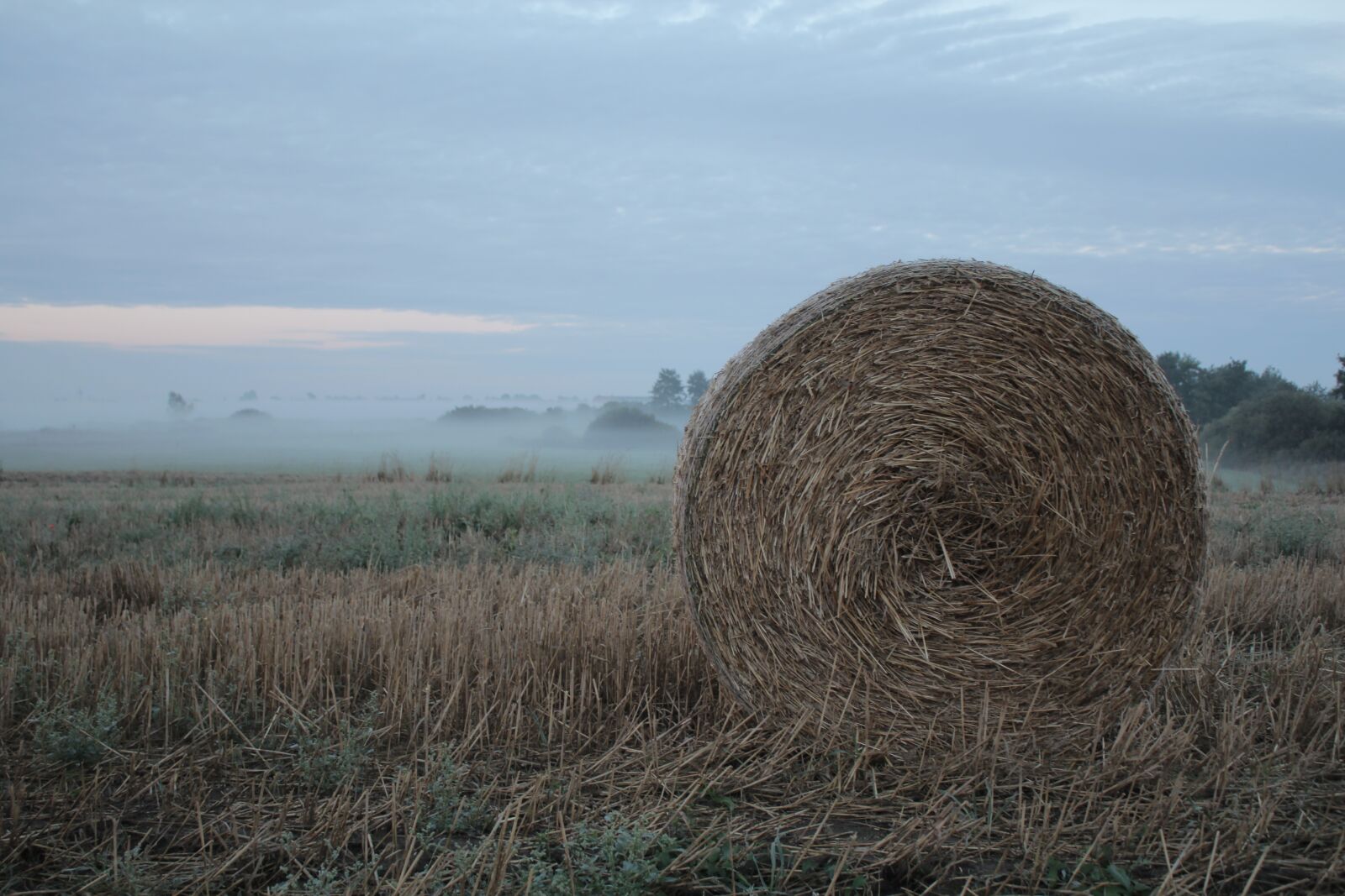Canon EOS 600D (Rebel EOS T3i / EOS Kiss X5) sample photo. Field, straw, harvest photography