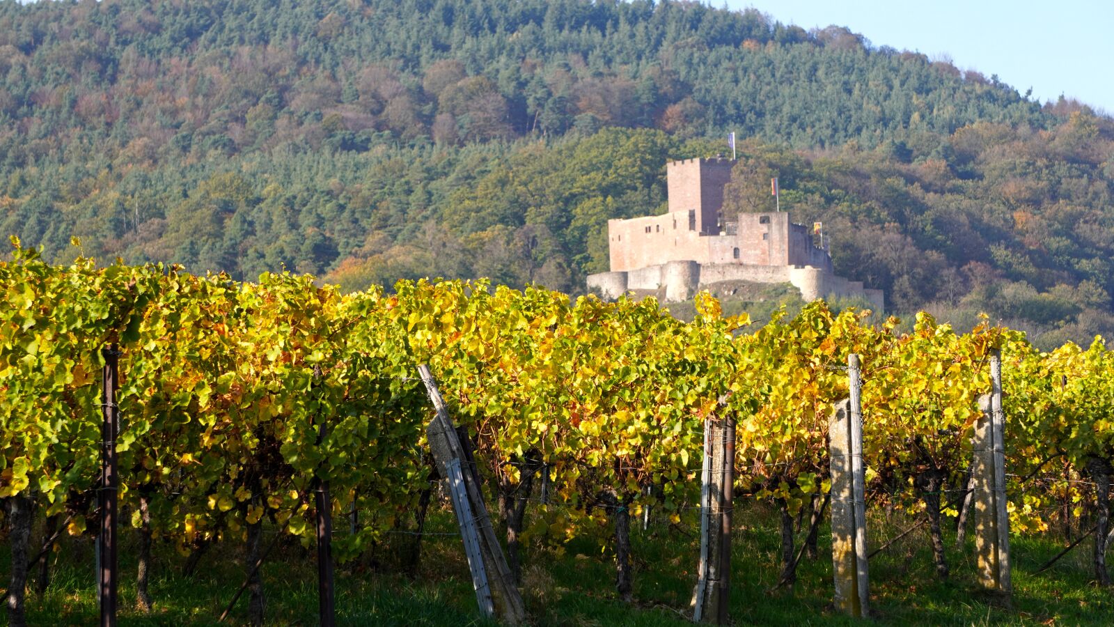 Sony E 55-210mm F4.5-6.3 OSS sample photo. Castle, vineyard, landscape photography
