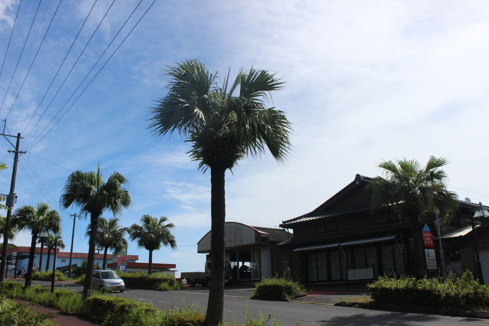 Canon EOS 600D (Rebel EOS T3i / EOS Kiss X5) sample photo. Landscape photography