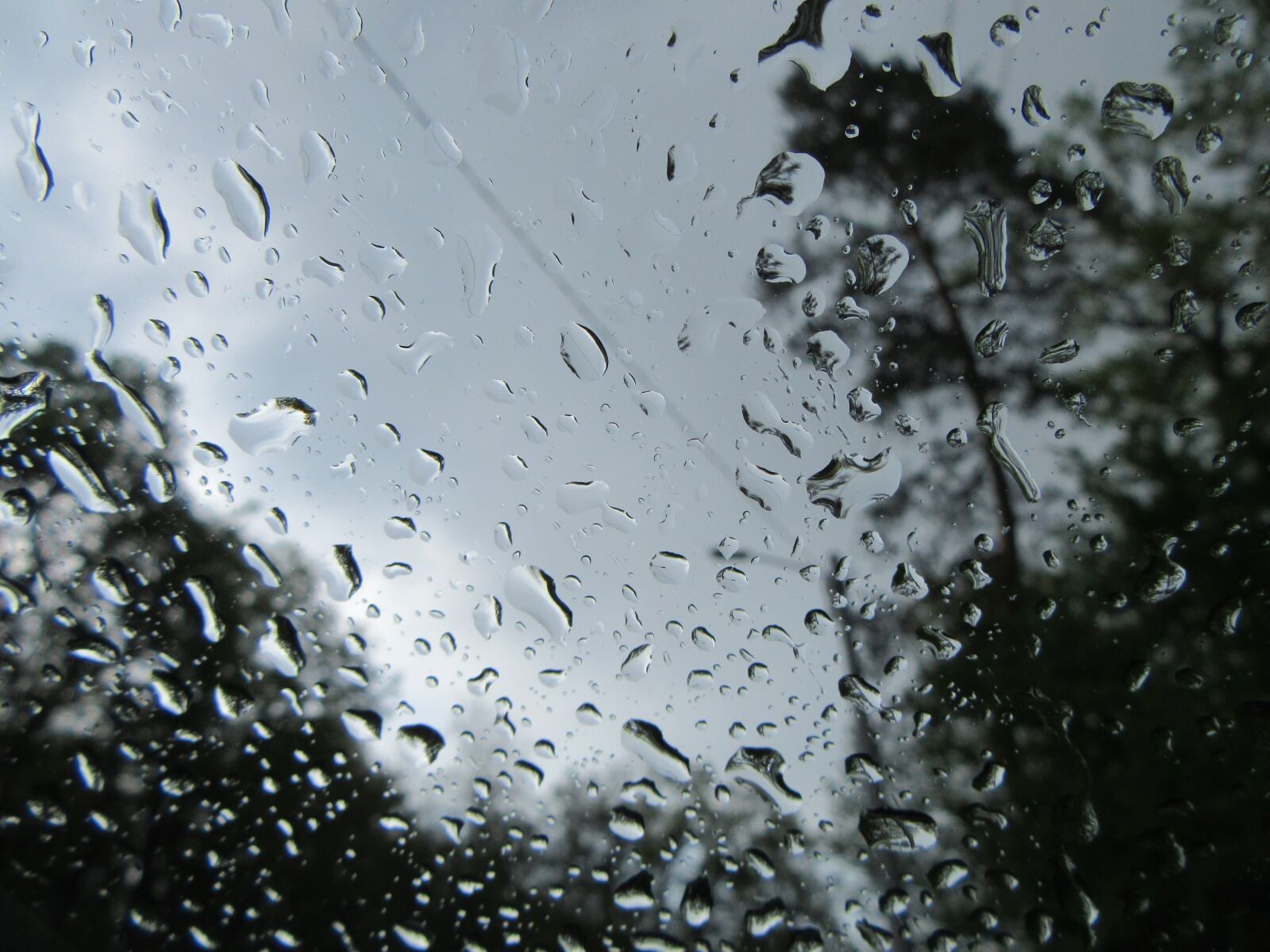 Canon PowerShot SX610 HS sample photo. Rain, water, glass photography