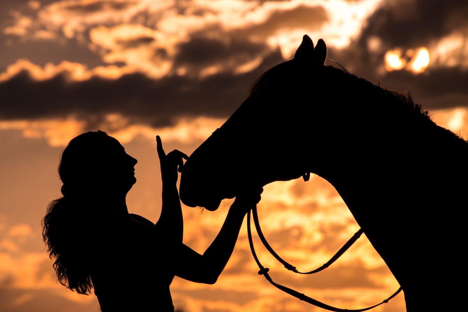 Nikon D3300 sample photo. Silhouette, woman, horse photography