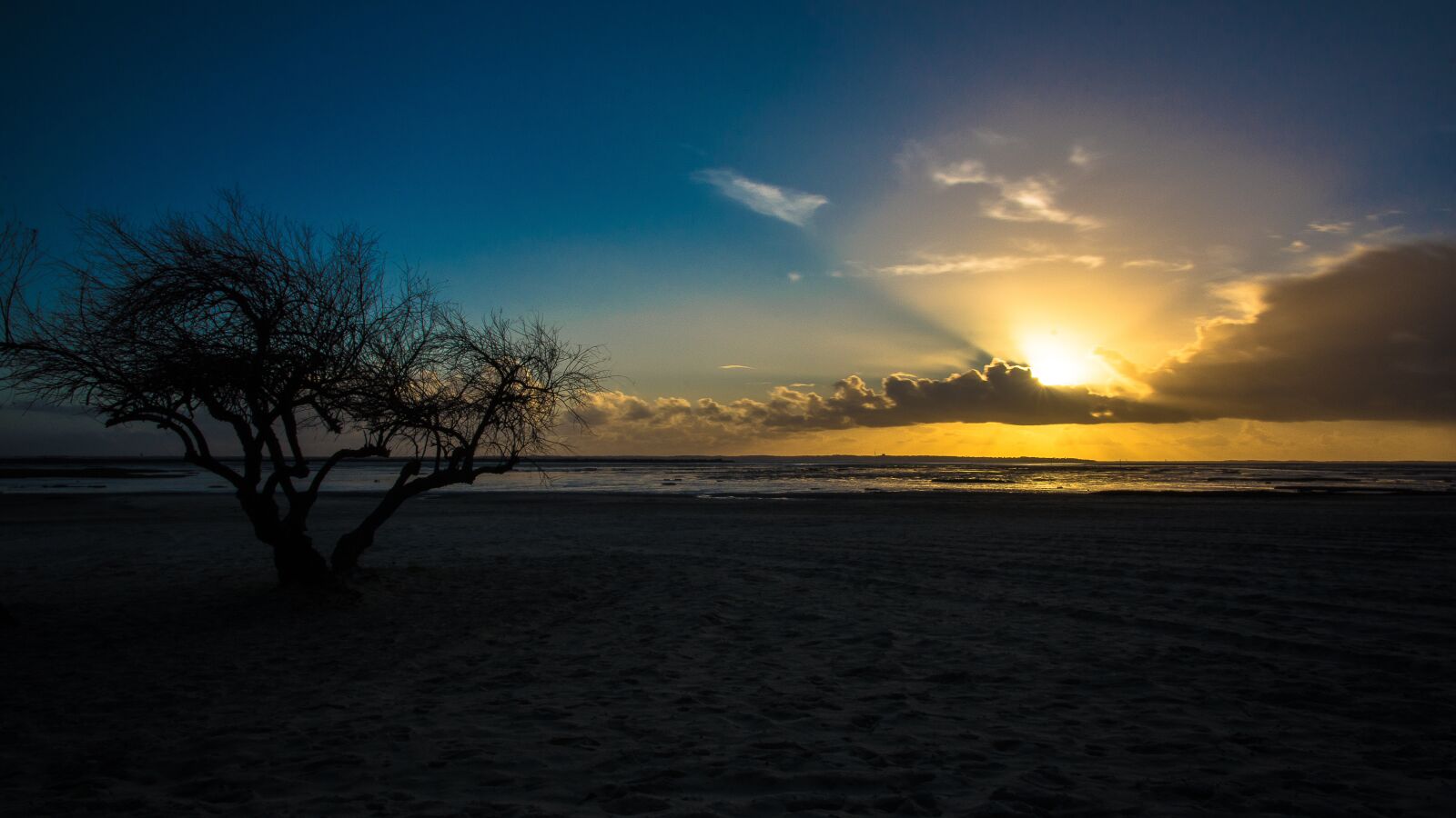 Nikon D7100 sample photo. Arcachon, lanton, basin photography