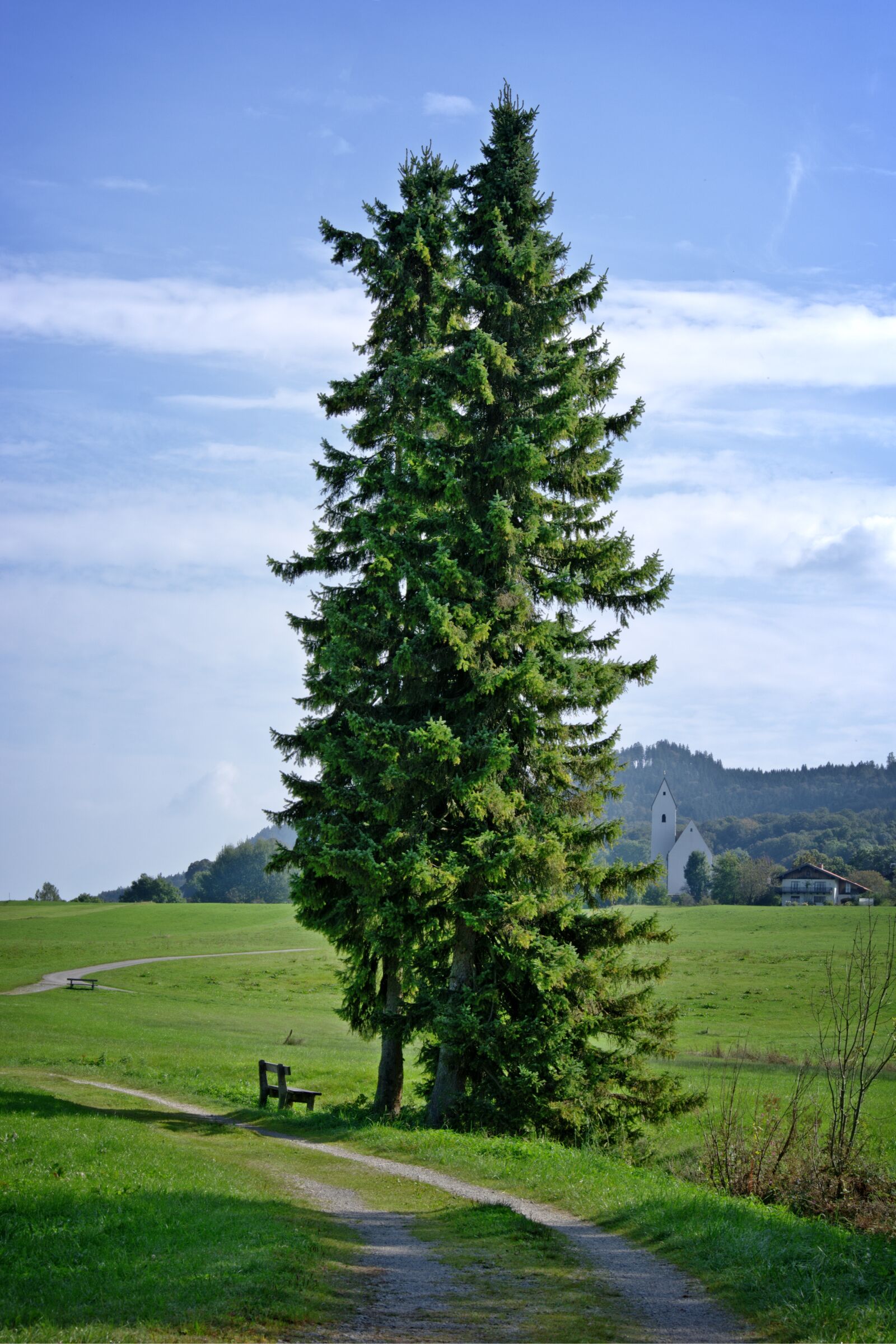 55.0-200.0mm f/4.0-f/5.6 sample photo. Away, trail, tree photography