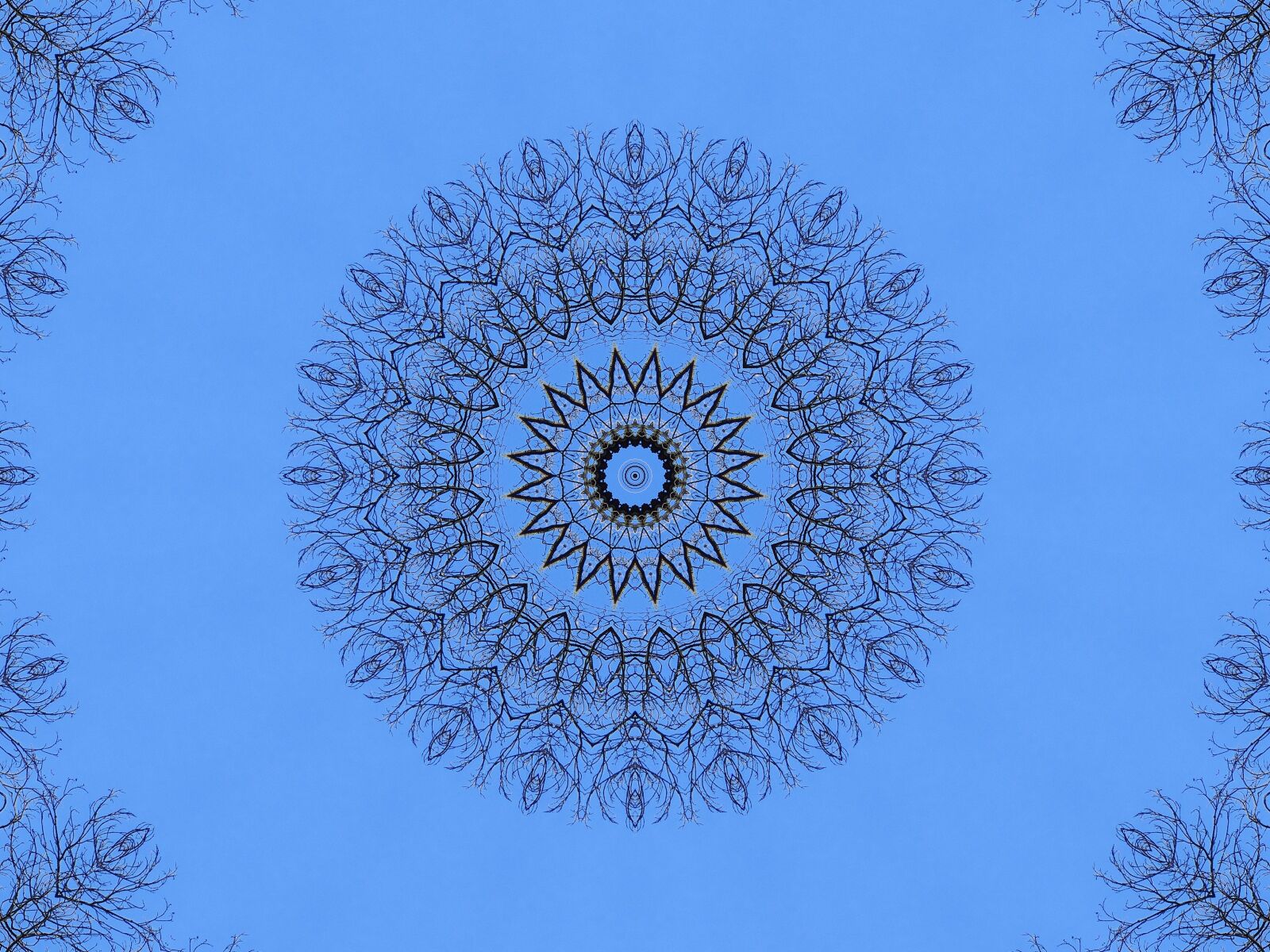 Sony DSC-HX200V sample photo. Mandala, graphics, decoration photography