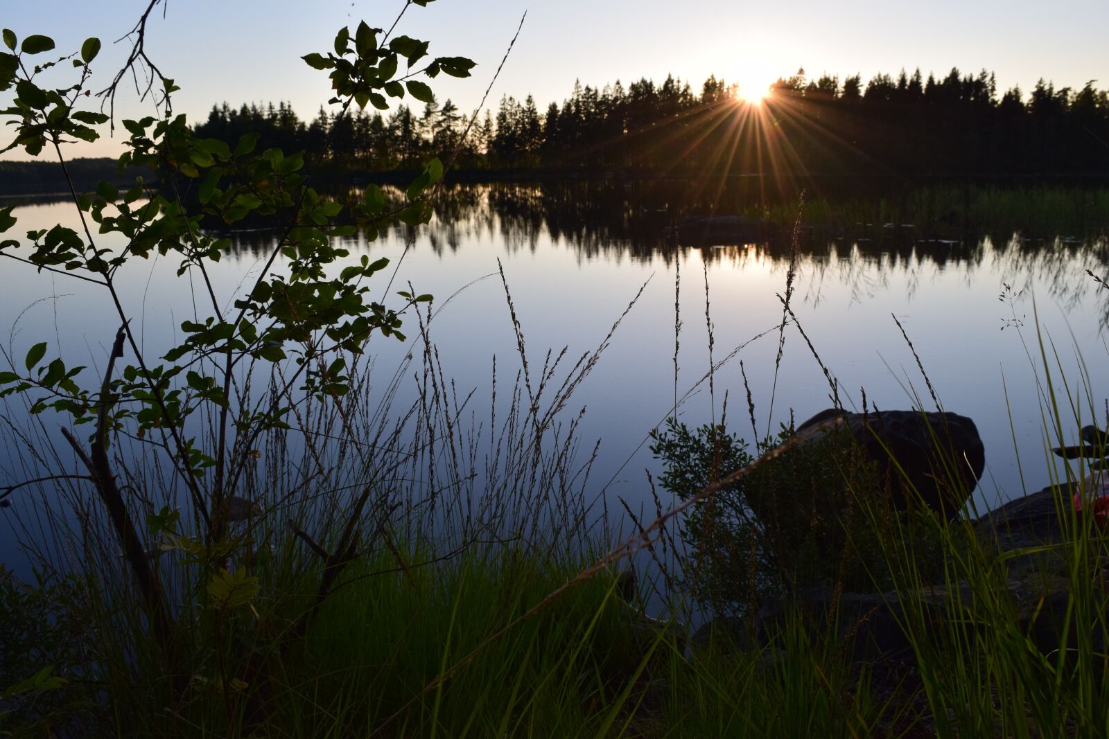 Nikon D3300 sample photo. Water, forest, solar photography