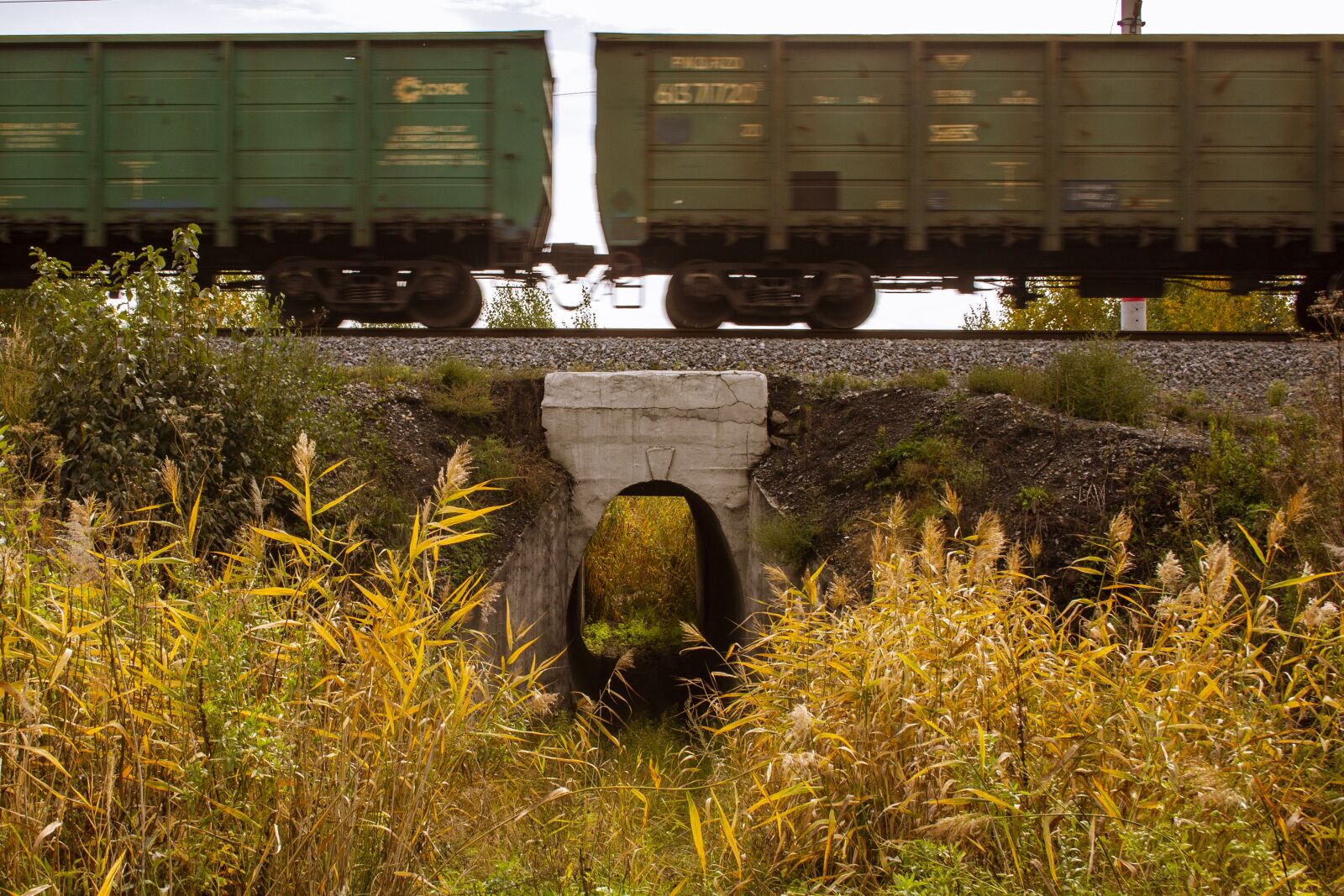 Canon EOS 60D sample photo. Locomotive, train, tunnel photography