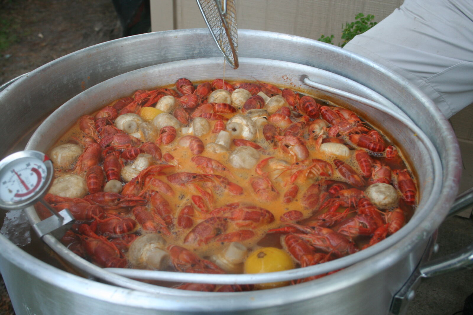 Canon EOS 350D (EOS Digital Rebel XT / EOS Kiss Digital N) sample photo. Crawfish, boil photography