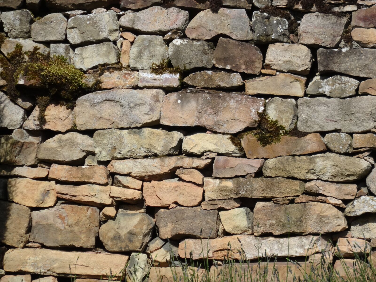 Sony Cyber-shot DSC-HX50V sample photo. Nature wall, sunlit wall photography