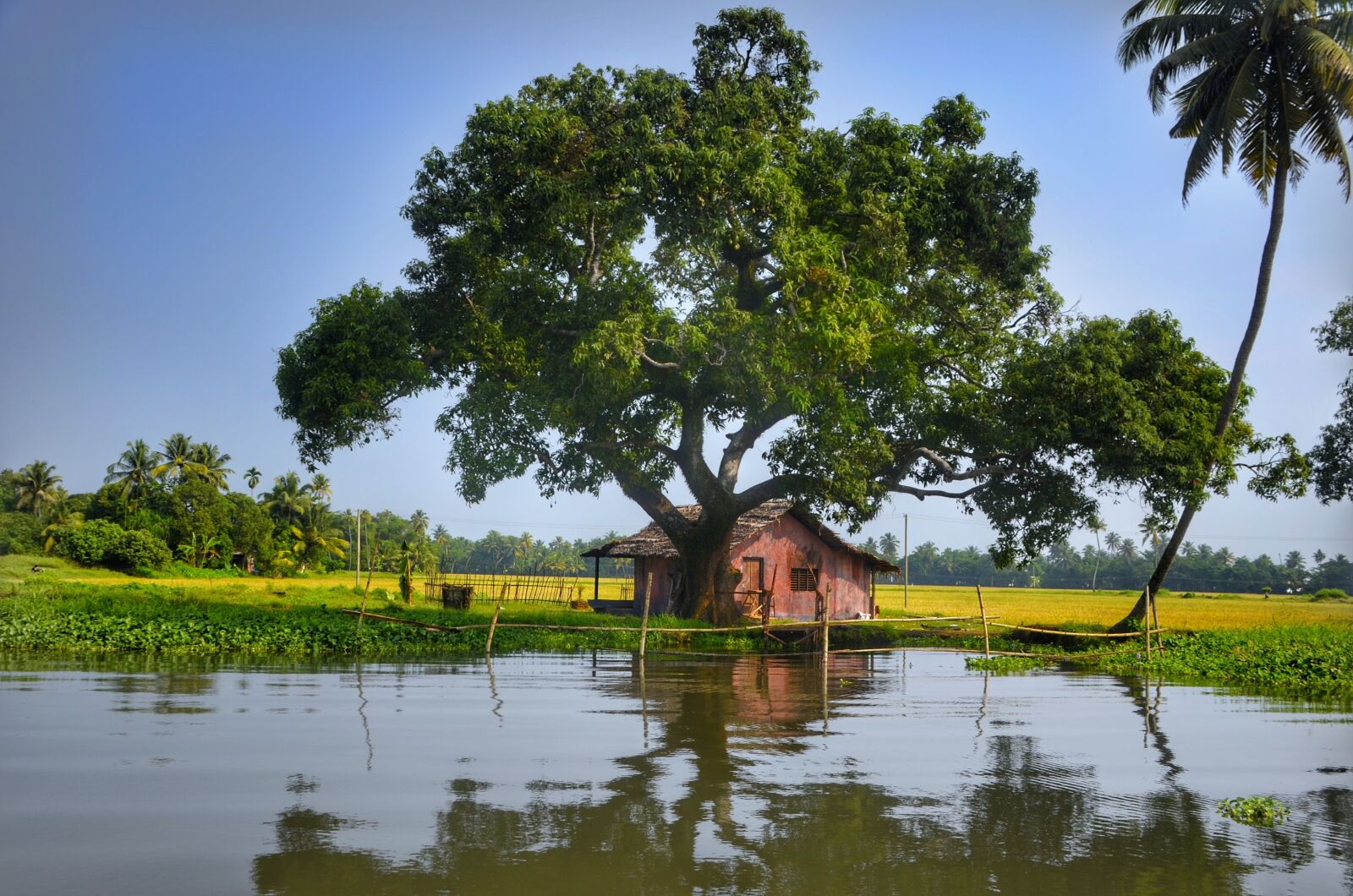 Nikon D5100 sample photo. Alleppey, backwaters, kerala photography