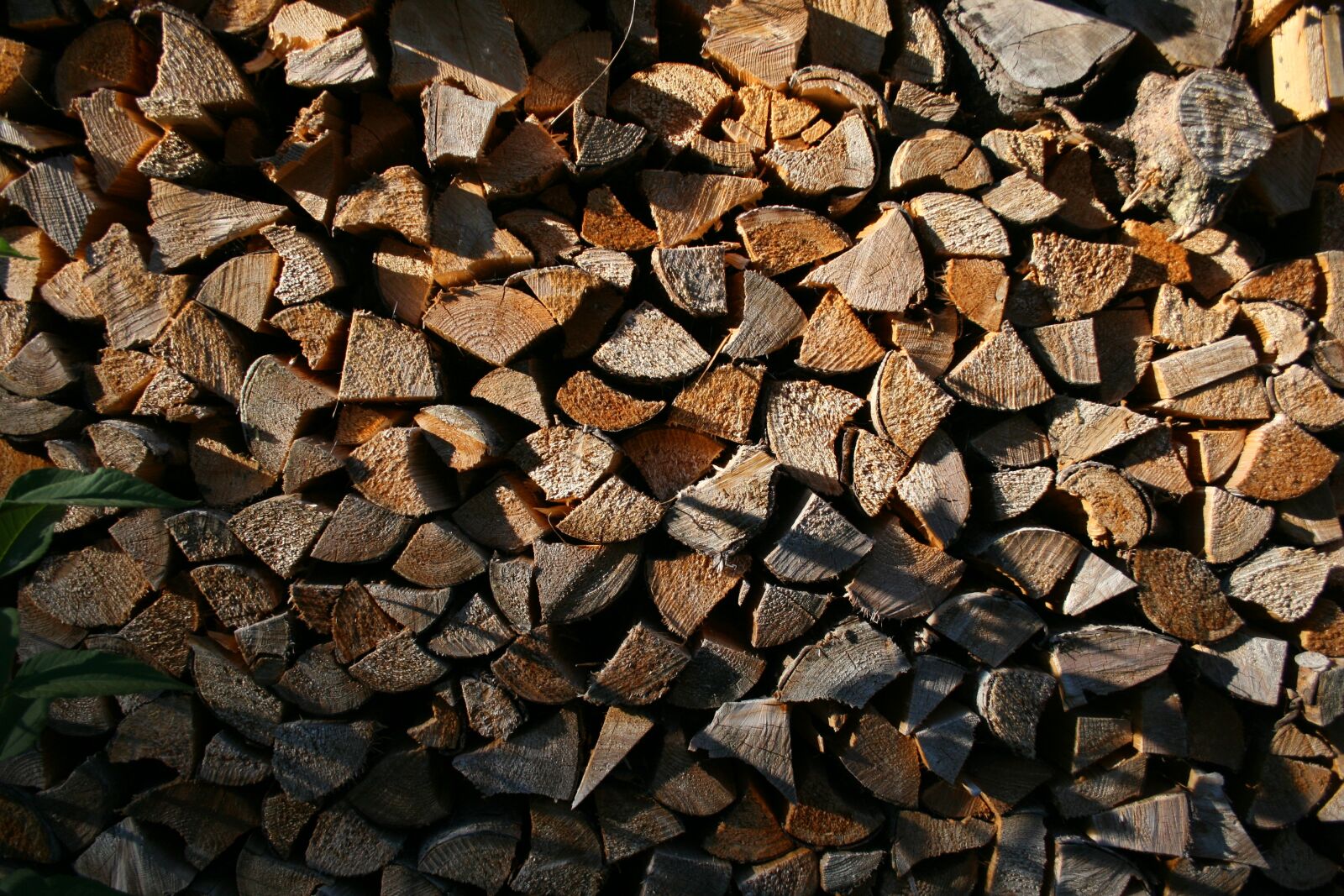 Canon EOS 400D (EOS Digital Rebel XTi / EOS Kiss Digital X) sample photo. Background, background image, brown photography