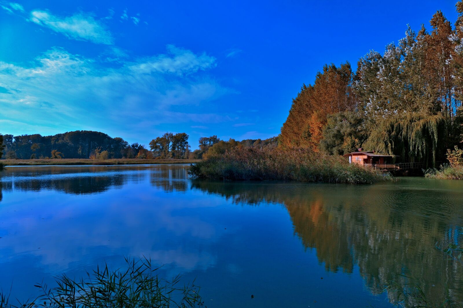 Panasonic Lumix DMC-FZ1000 sample photo. Lake, trees, nature photography