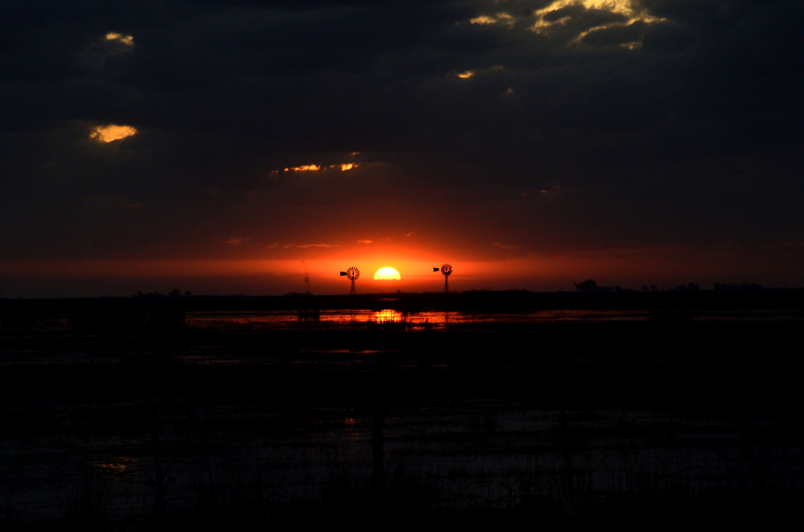 Nikon D7000 sample photo
