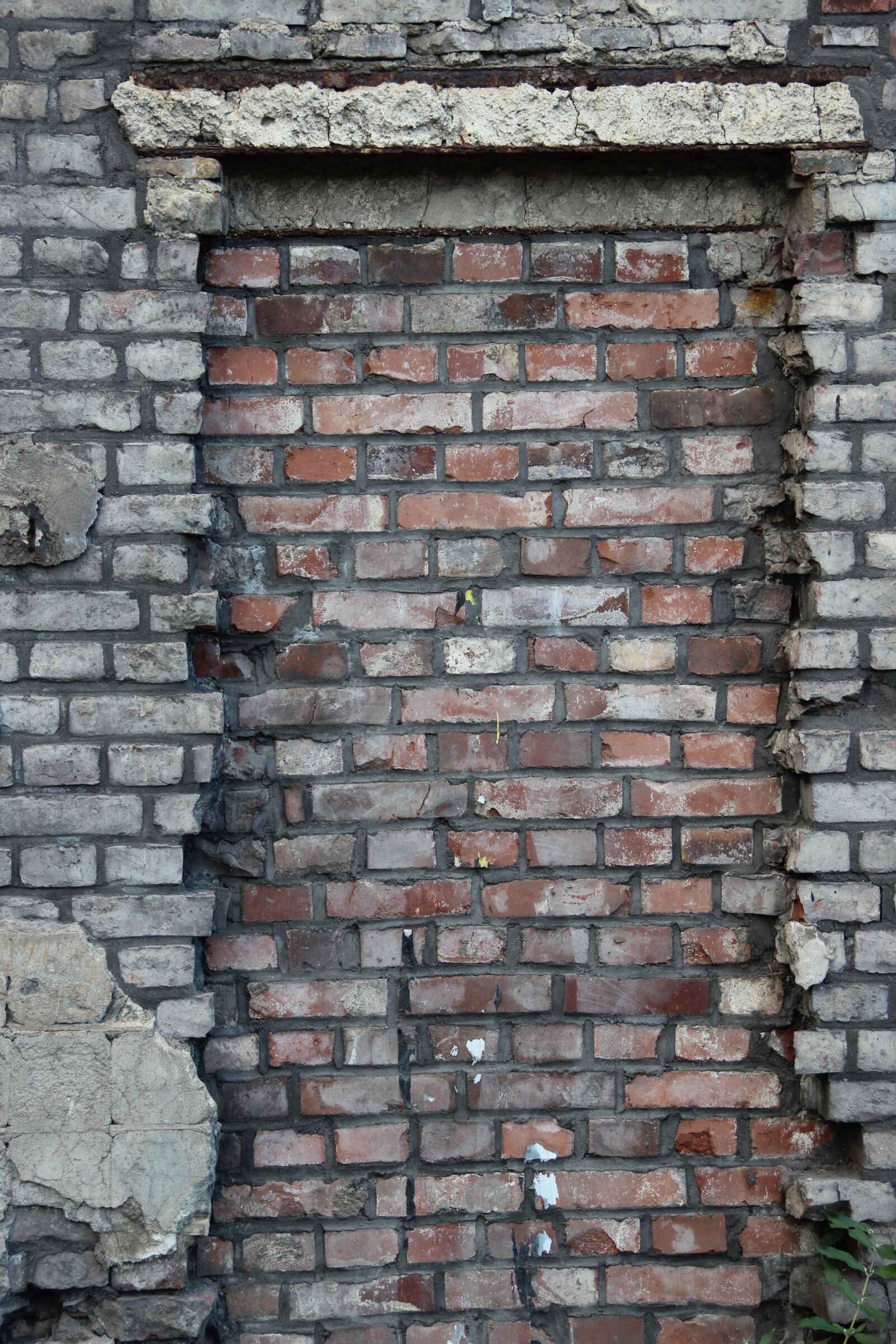 Canon EOS 600D (Rebel EOS T3i / EOS Kiss X5) sample photo. Structure, pattern, background photography