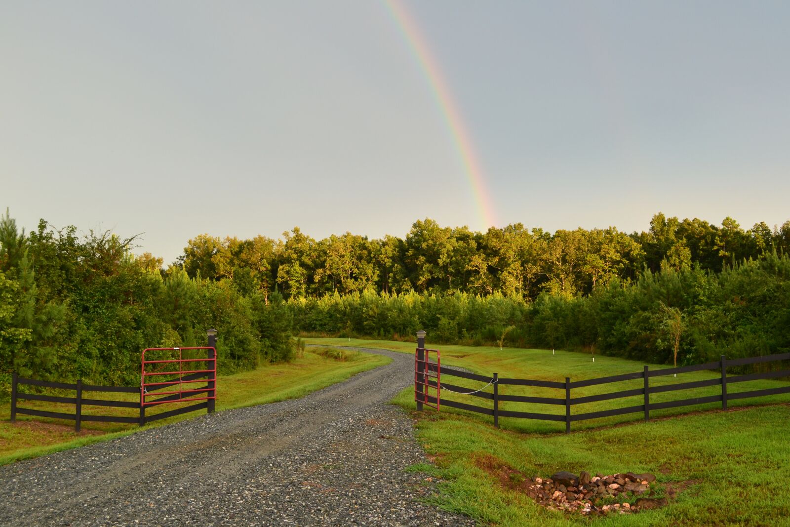 Nikon D3100 sample photo. Gate, country road, landscape photography