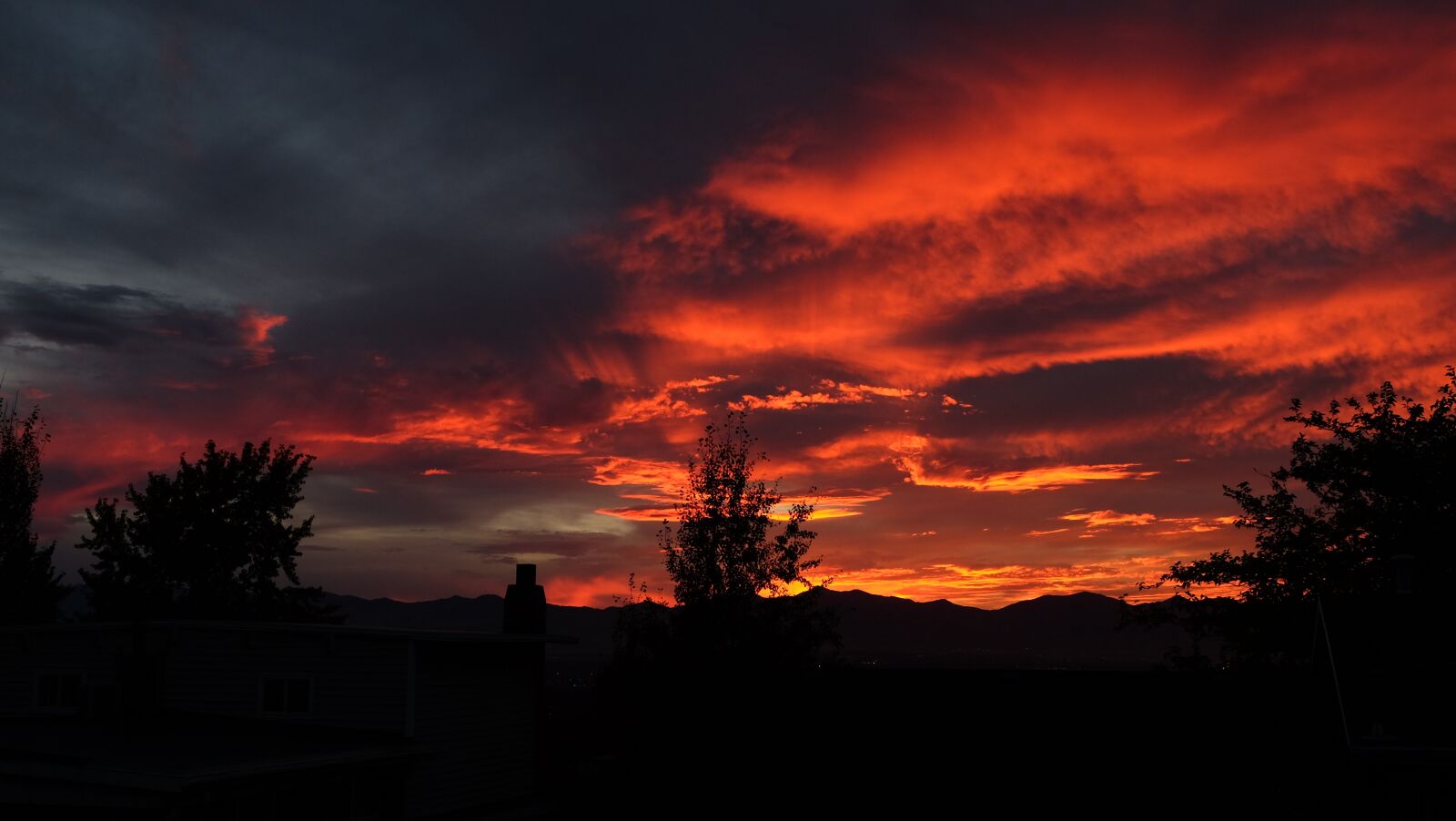 Fujifilm X-T10 sample photo. Backyard, sunset, summer photography