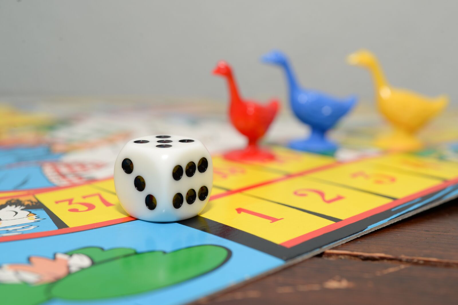 Nikon D610 sample photo. Goose game, dice, board photography