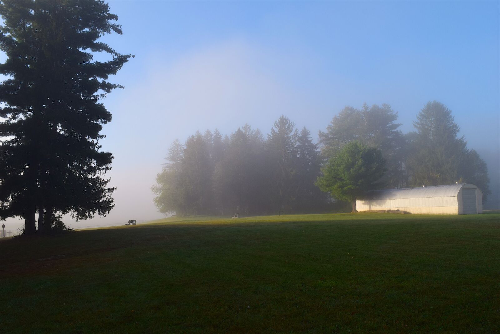 Nikon D3300 sample photo. Field, mist, morning photography