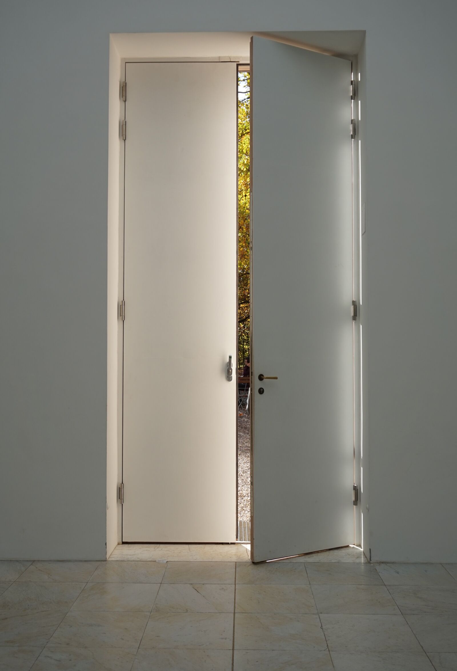 Sony Alpha a5000 (ILCE 5000) sample photo. Open door, large door photography