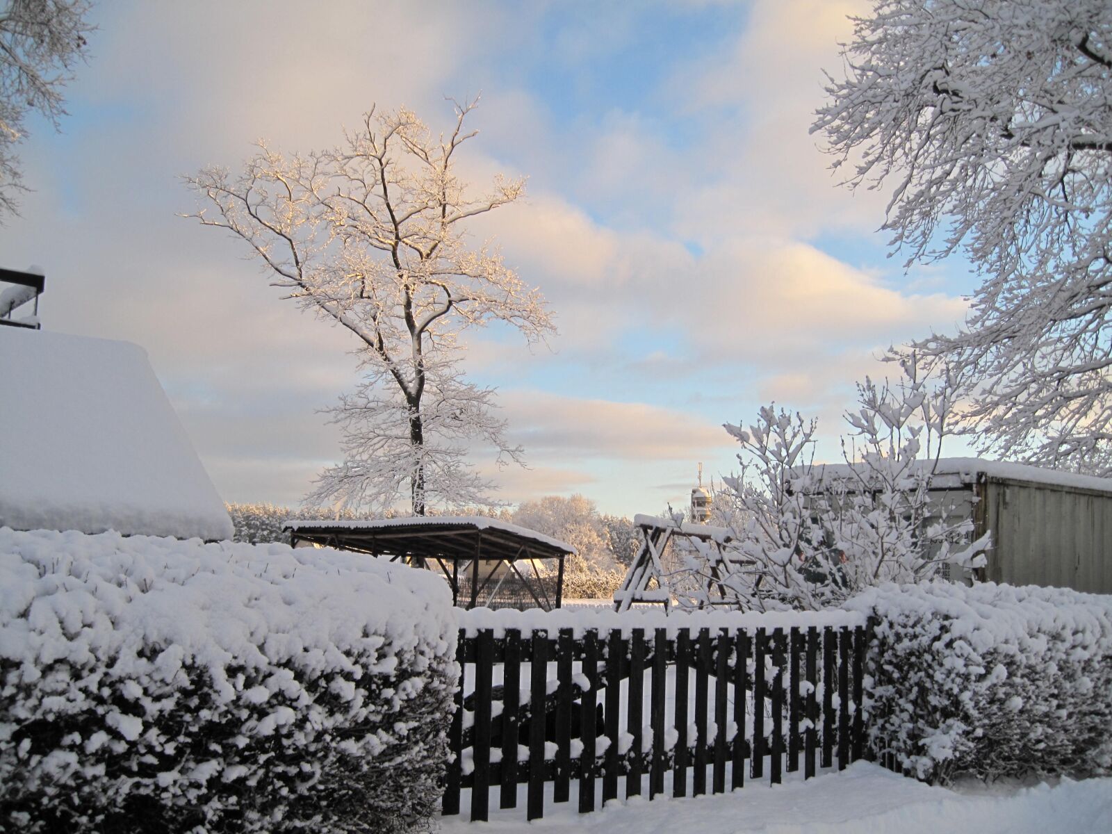 Canon PowerShot SD990 IS (Digital IXUS 980 IS / IXY Digital 3000 IS) sample photo. Snow, trees, landscape photography