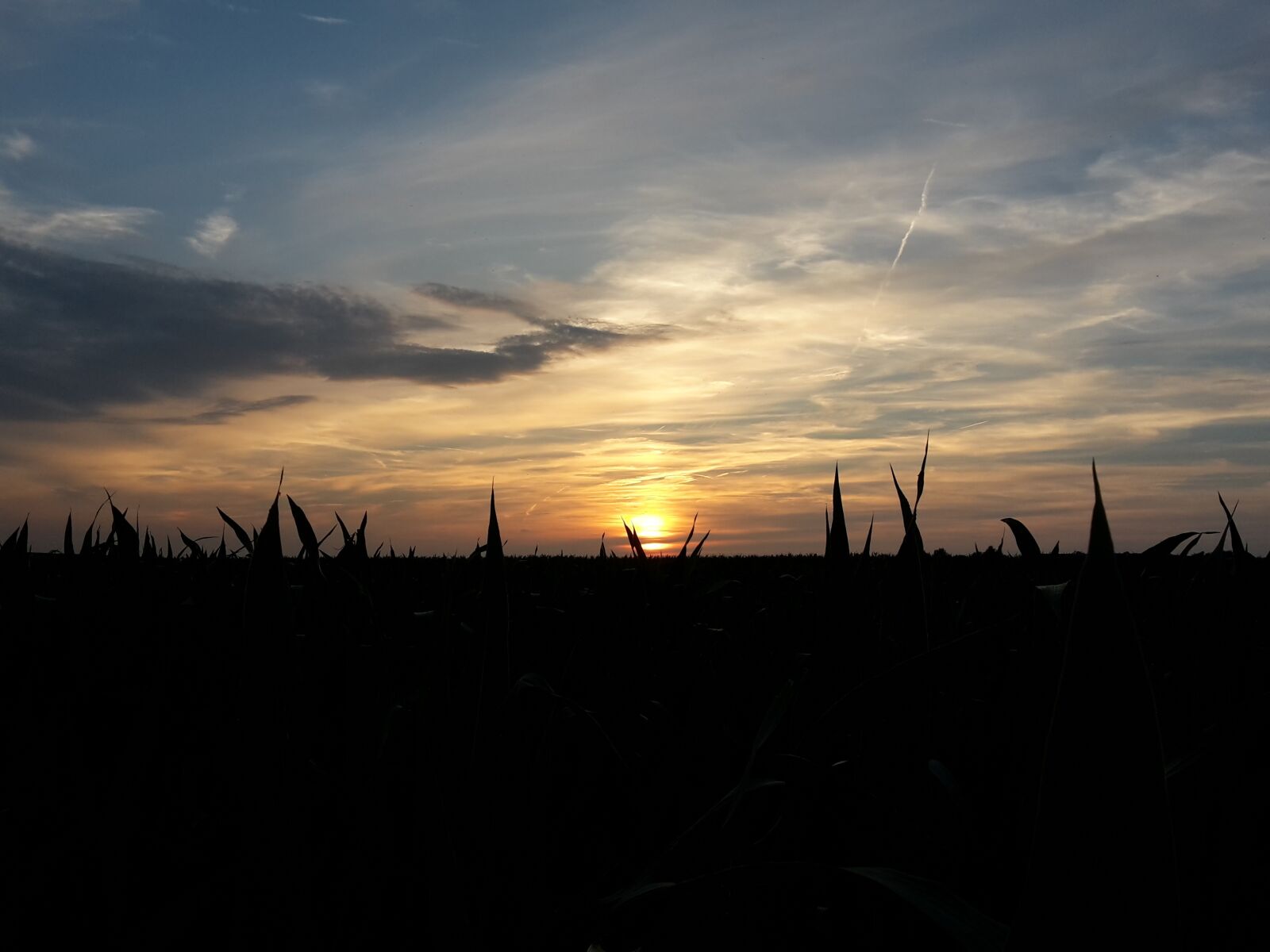 Samsung Galaxy S5 Mini sample photo. Sun, sunset, field photography