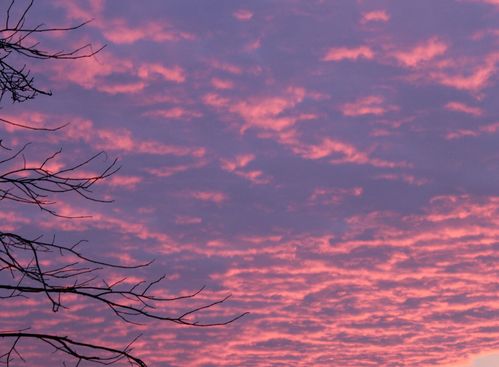 Canon EOS 600D (Rebel EOS T3i / EOS Kiss X5) sample photo. Sunrise, morgenrot, skies photography