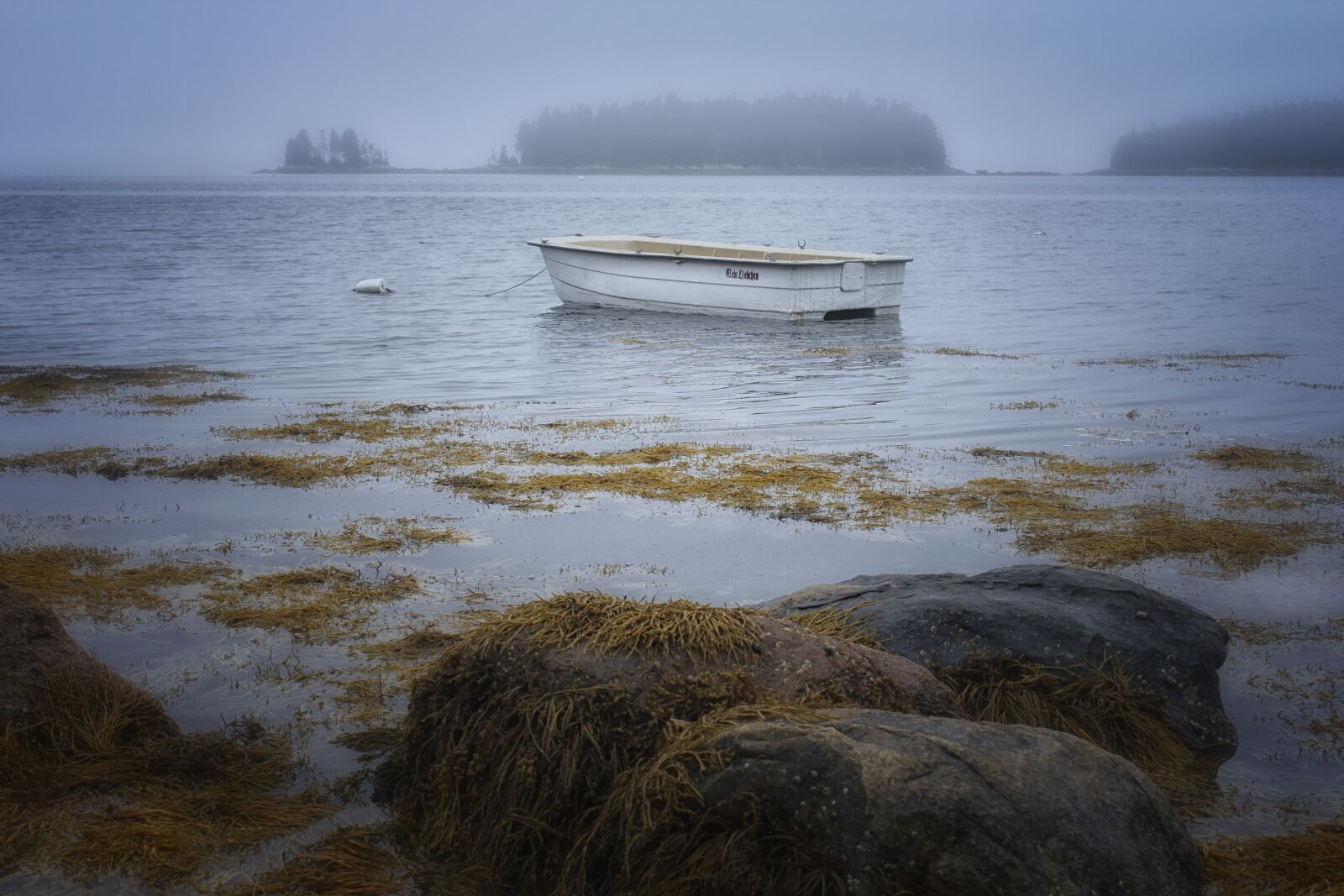 Canon EOS 60D sample photo. Rocks, seaweed, boat photography