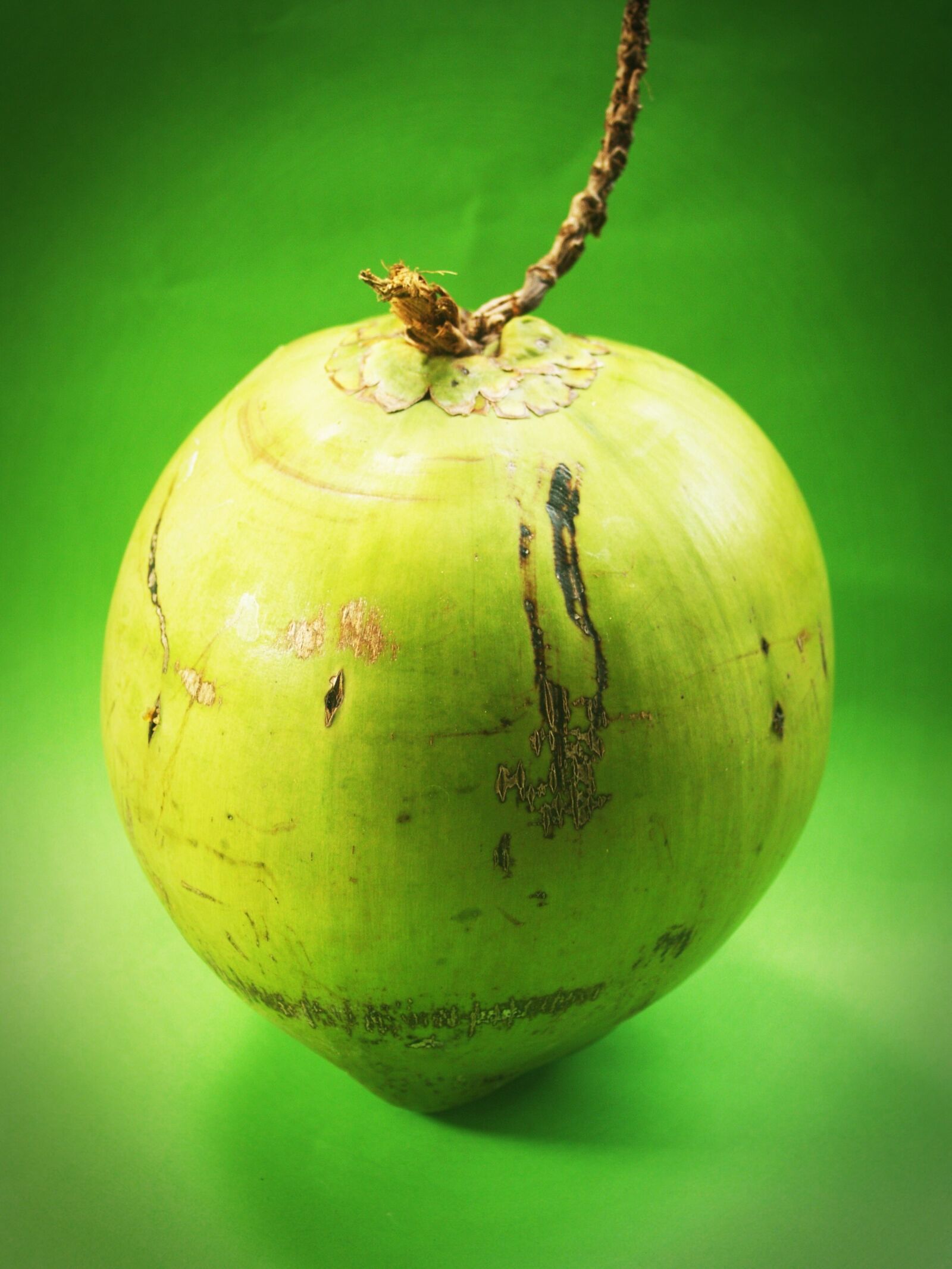 Olympus E-300 (EVOLT E-300) sample photo. Coconut, green, white photography