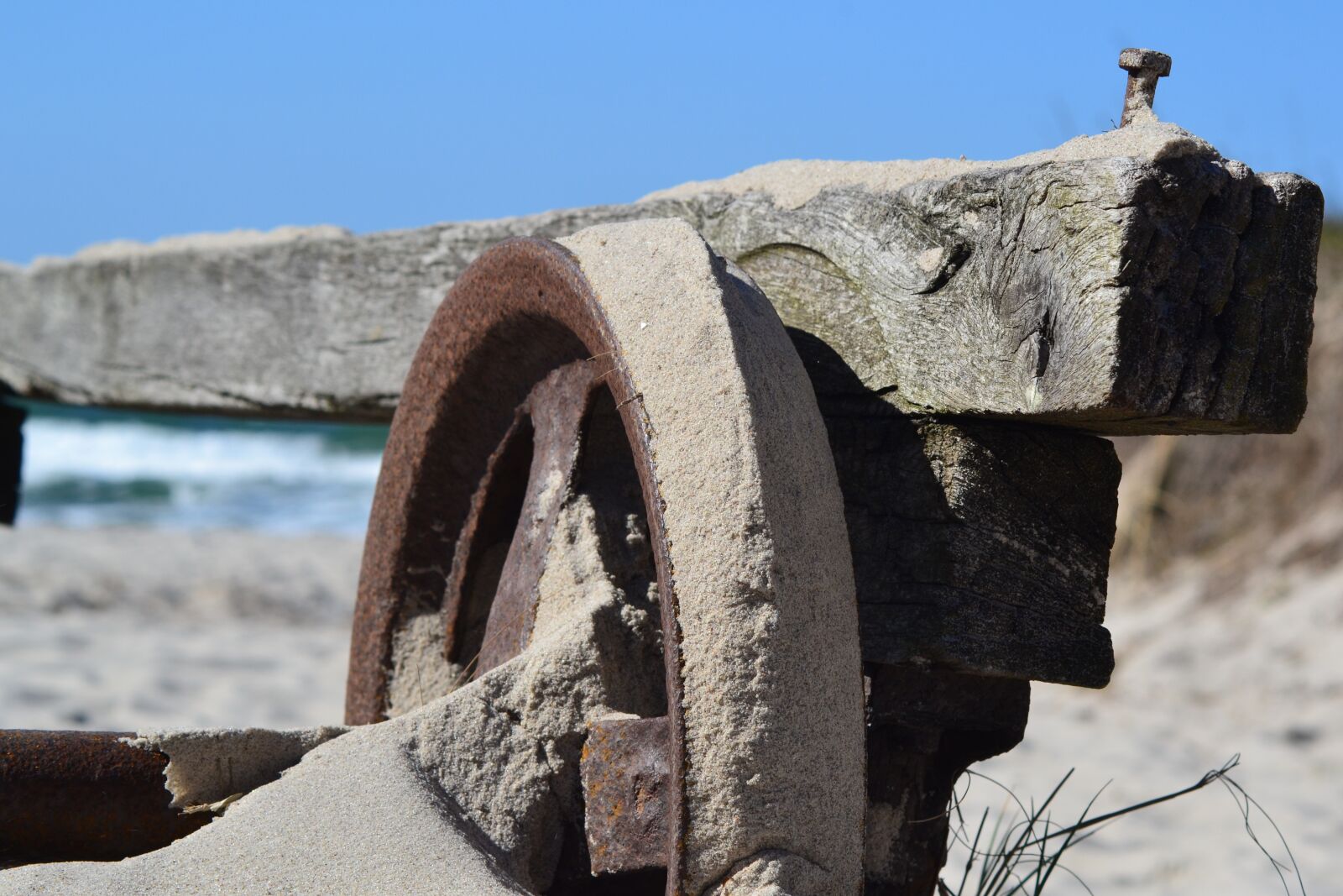 Nikon D3100 sample photo. Wheel, winds, sand photography