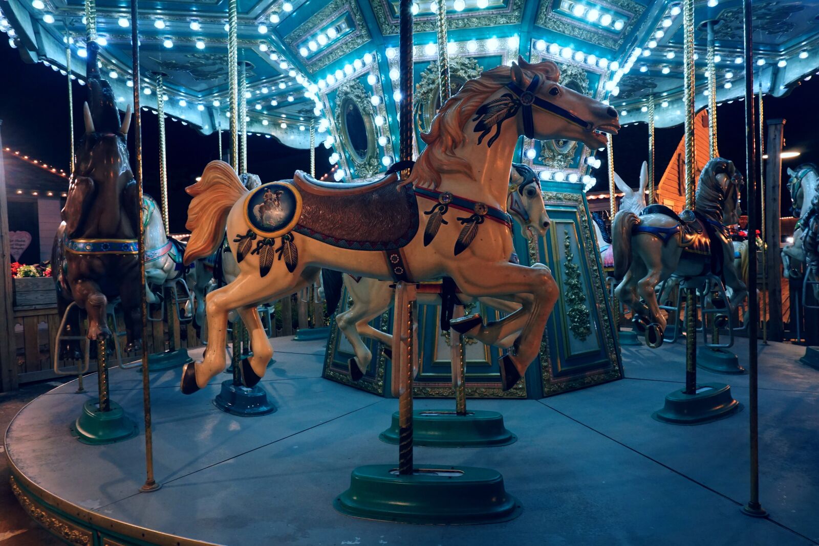 Sony a6000 sample photo. Merry go round, carousel photography