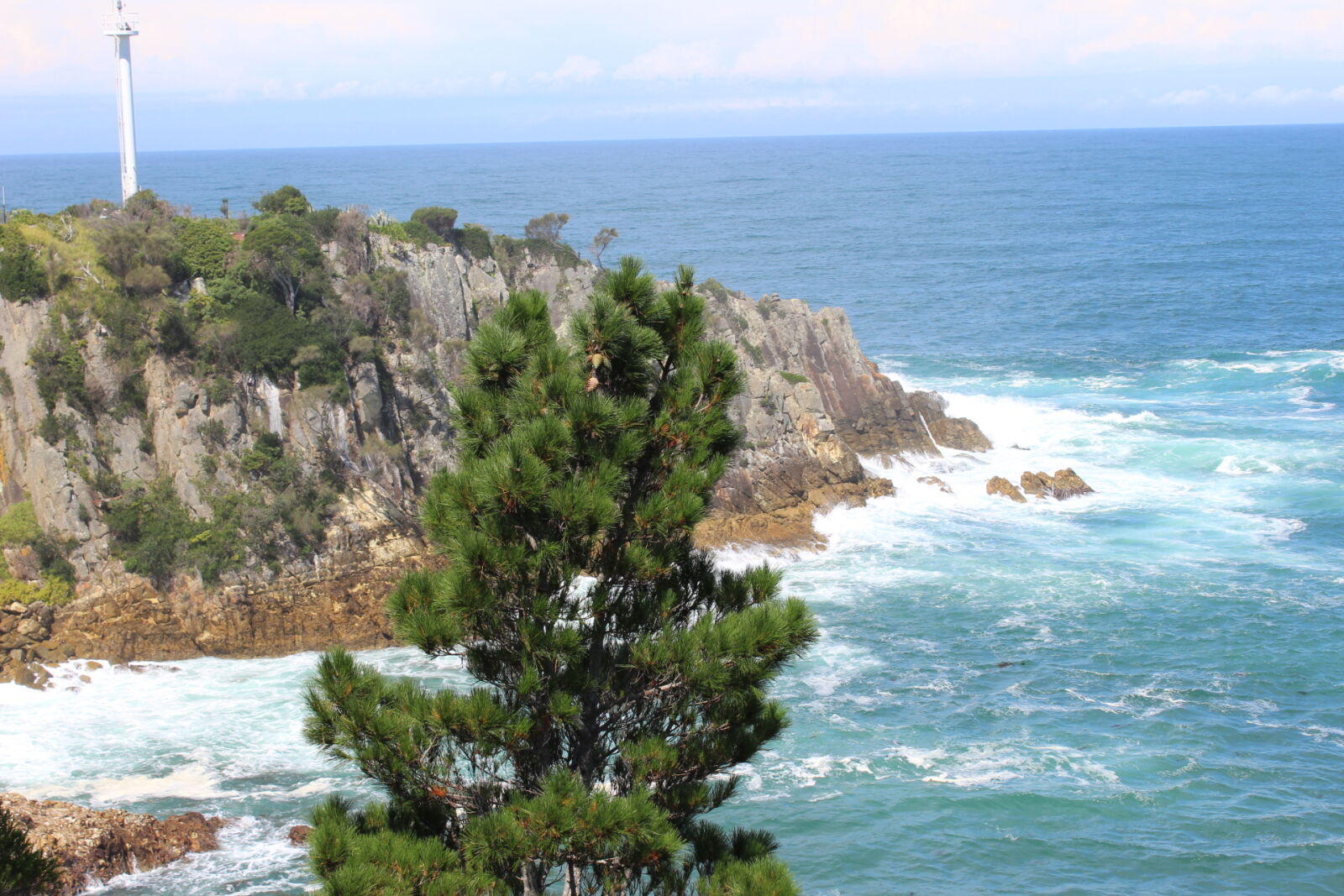 Canon EOS 600D (Rebel EOS T3i / EOS Kiss X5) sample photo. Australia, eden, nsw photography