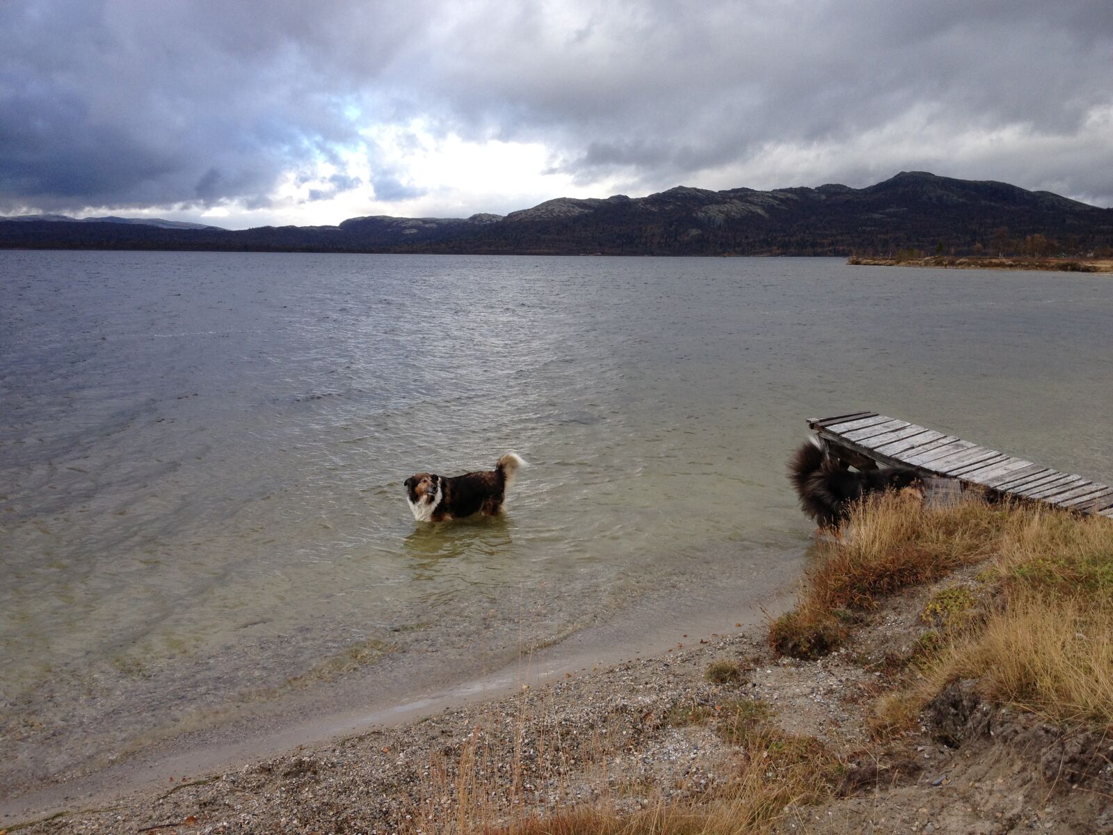 Apple iPhone 4S sample photo. Rondane, norway, october photography