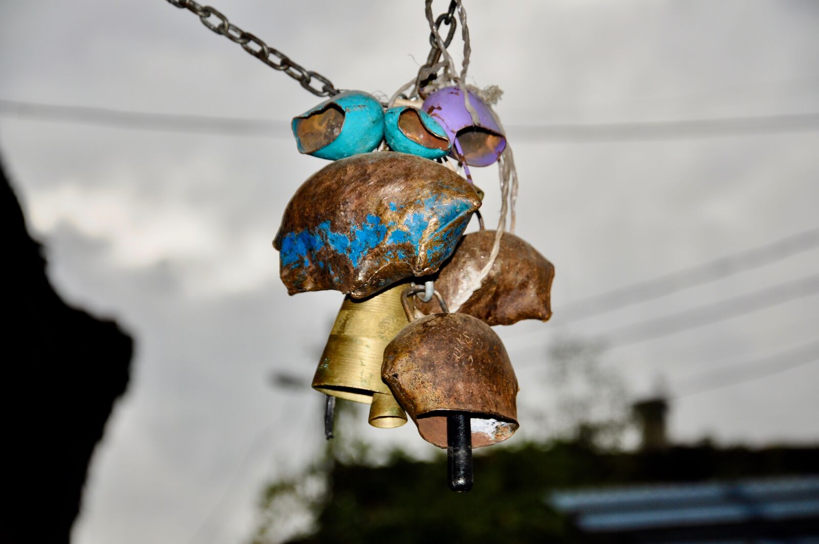 Nikon D90 sample photo. Bell, zonguldak, ring photography