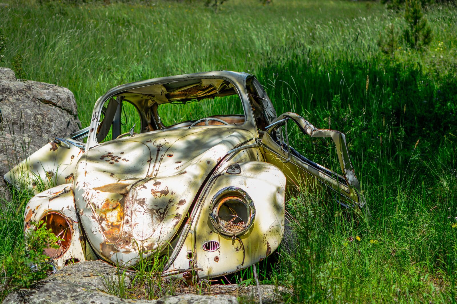 Nikon D7100 sample photo. Abandoned, beetle, car photography